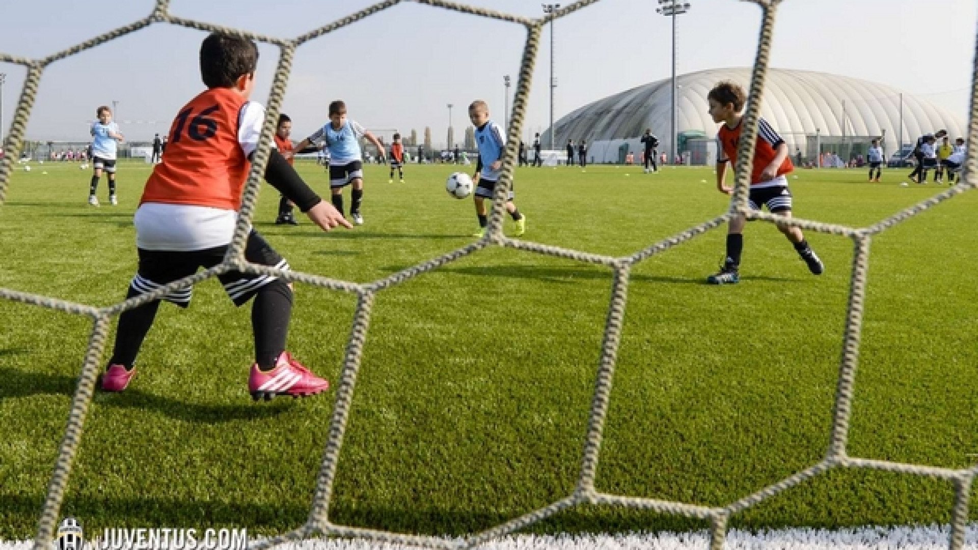 Immagine di Calcio giovanile, quanto ci costa il talento