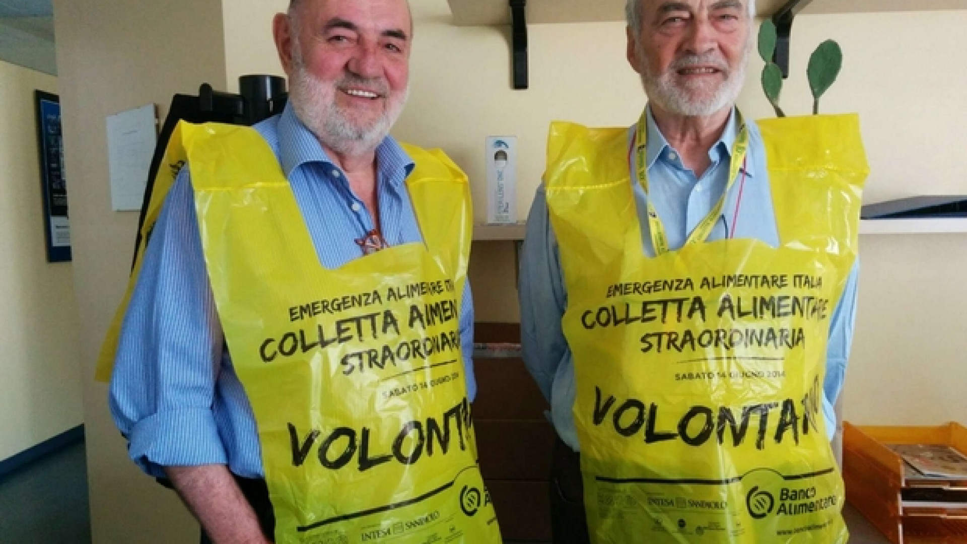Immagine di Oggi la Colletta alimentare in 13mila punti vendita