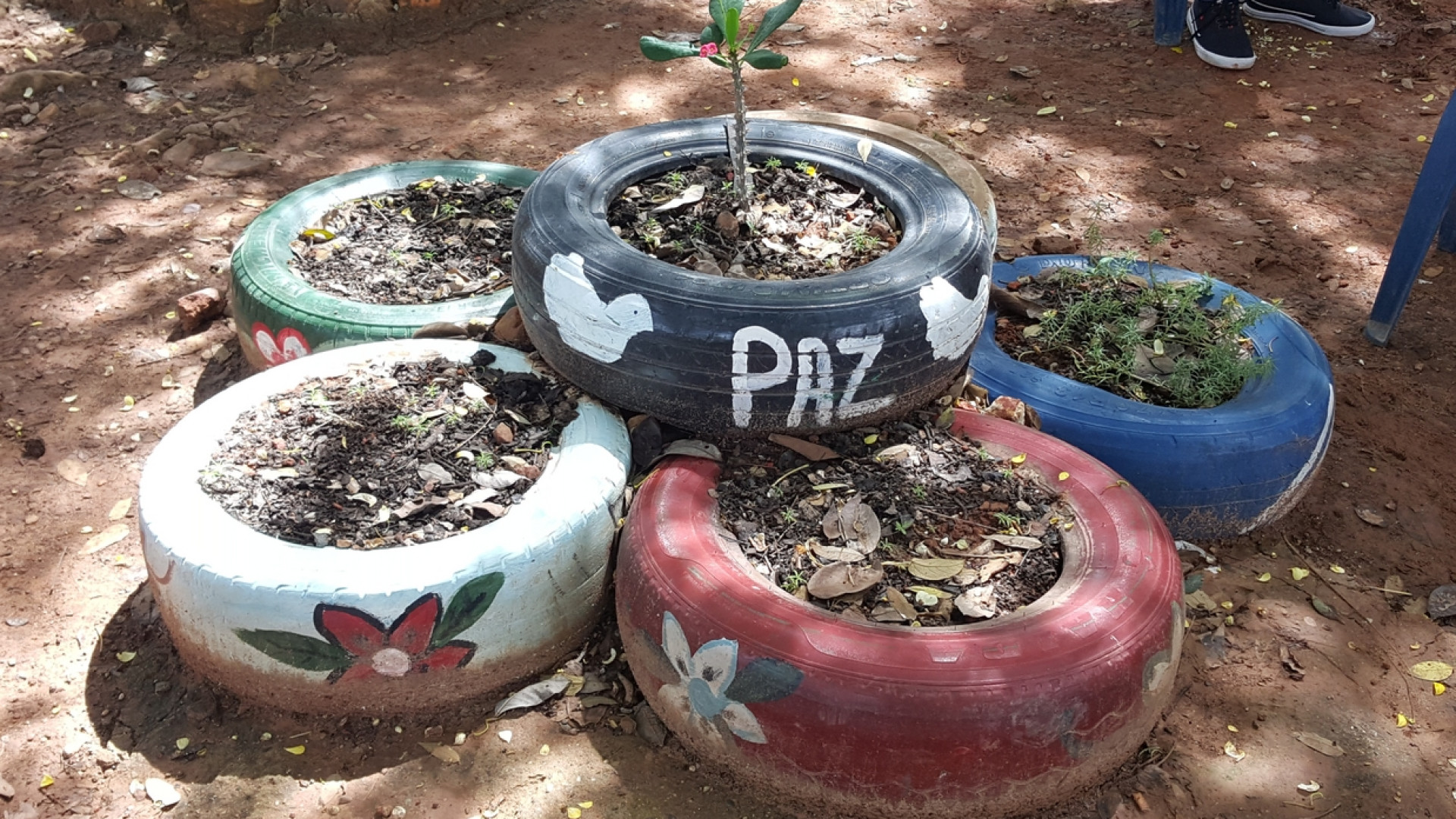 Immagine di Colombia, in salita il piano per reintegrare i miliziani Farc