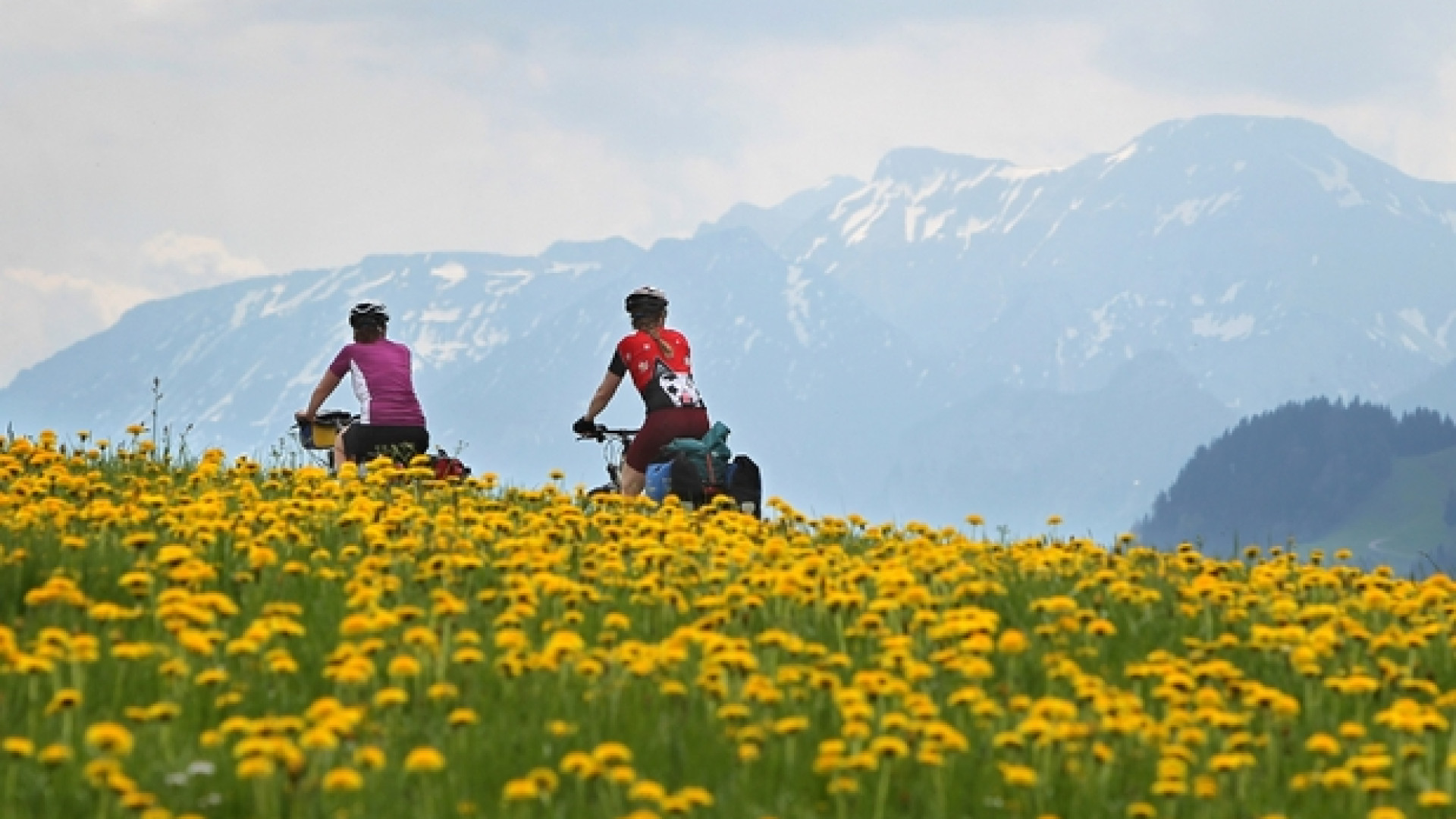 Immagine di Tutti in bici e... pedalare fa bene anche all'economia