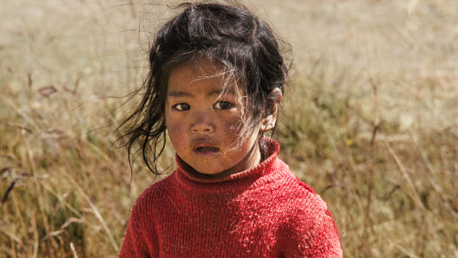 Immagine di Ladakh, cieli e volti dal tetto del mondo