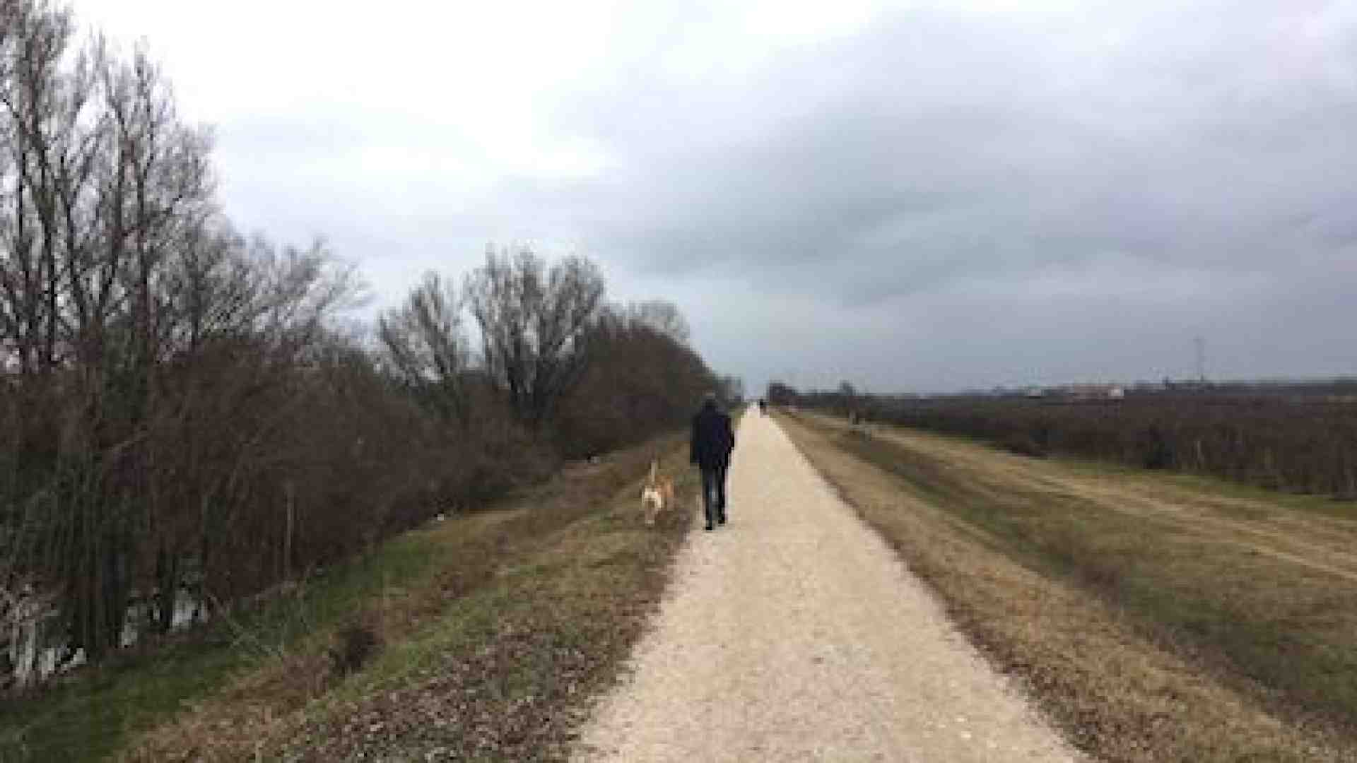 Immagine di Lungo il Pontoncello facendo base a Zevio