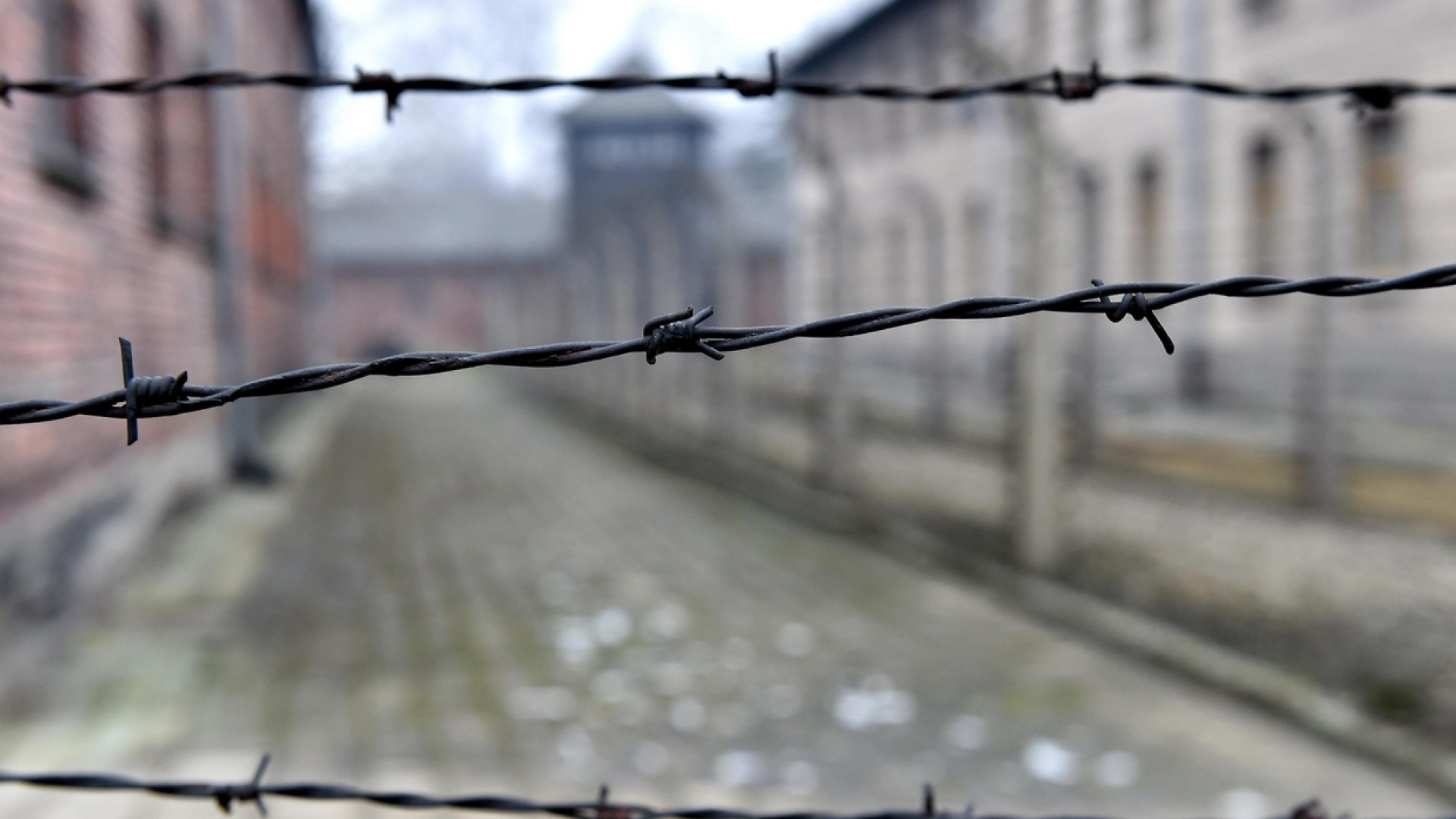 Immagine di Shoah, vietato accostare nazismo e Polonia