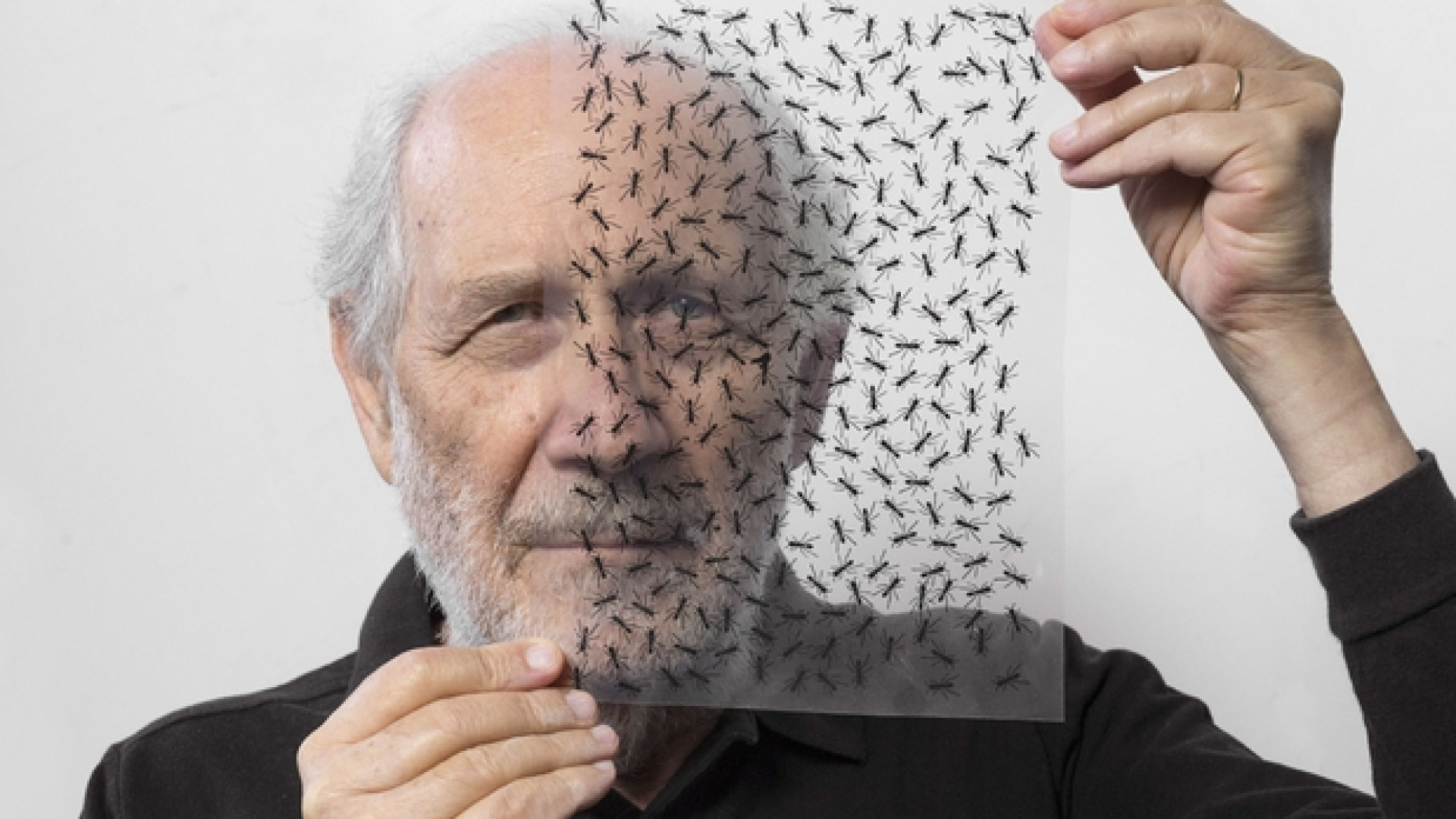 Immagine di Emilio Isgrò e l'arte di cancellare: «Ma non cancello Dio»