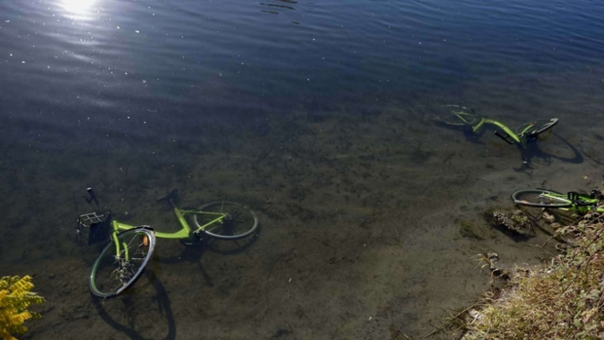 Immagine di Troppi vandali, un operatore di bike sharing se ne va
