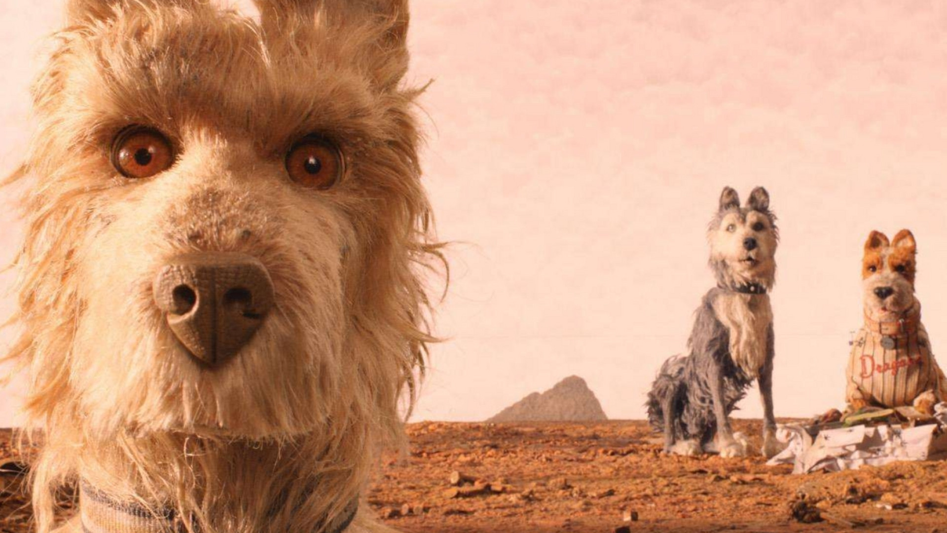 Immagine di «L'isola dei cani» di Wes Anderson, cartoon adulto sulla cultura dello scarto