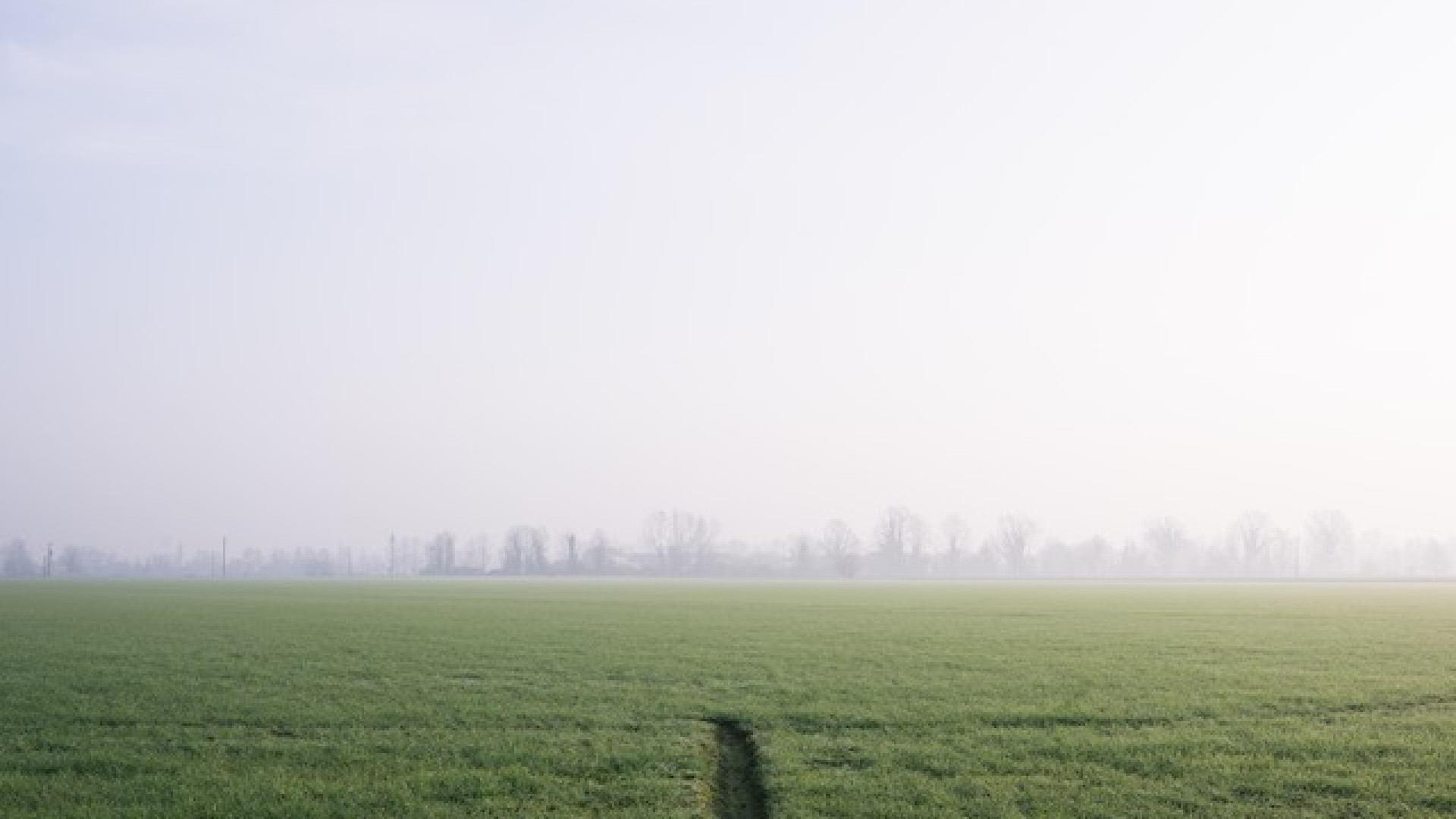 Immagine di Il modello Derovere per una città ideale