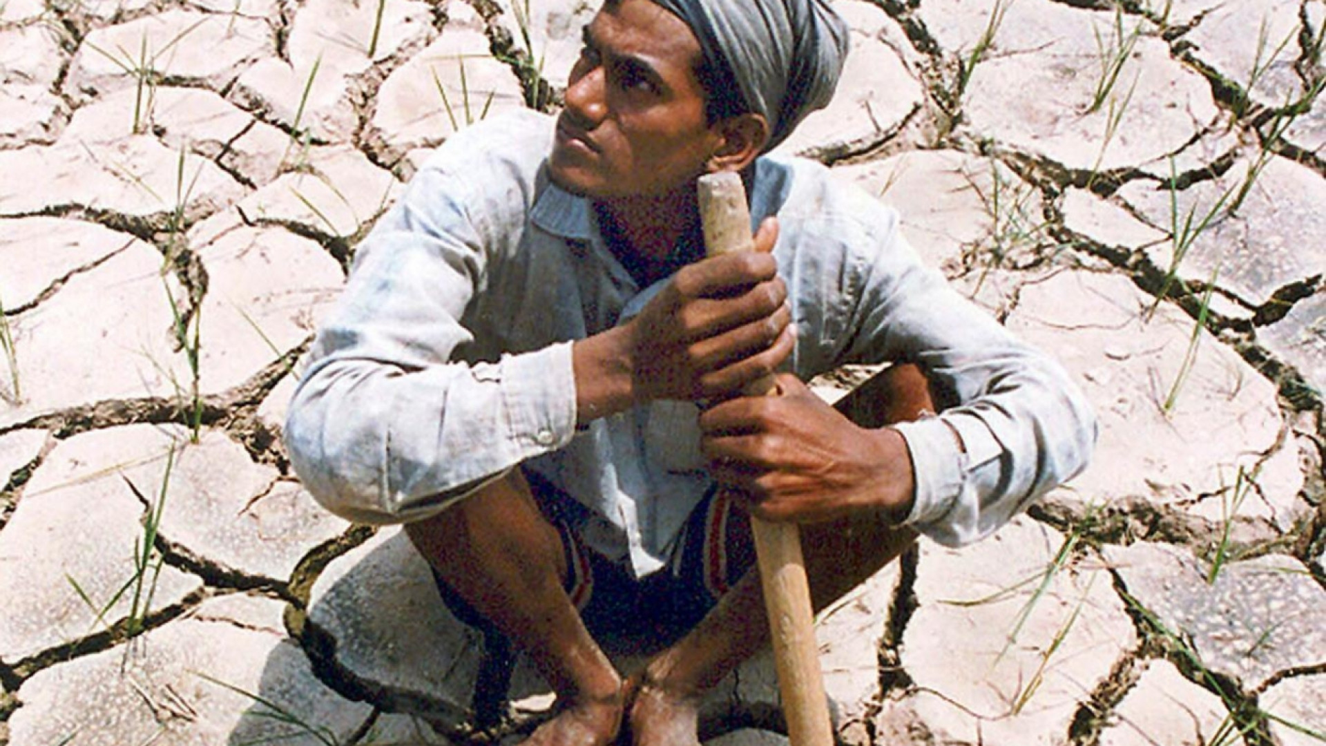 Immagine di India, la trappola del clima: cresce il caldo, più suicidi