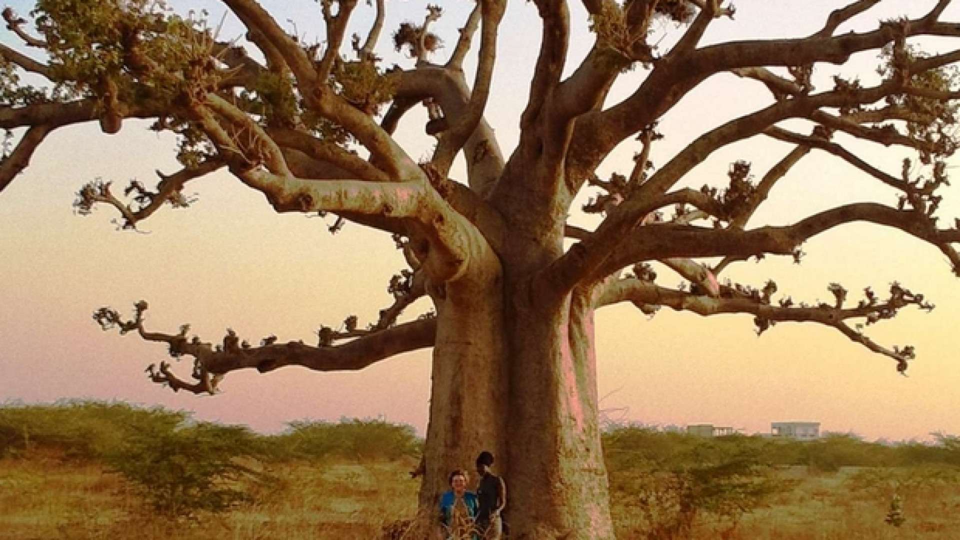 Immagine di Senegal, viaggio nel paese africano dove dialogano islam e cristianesimo