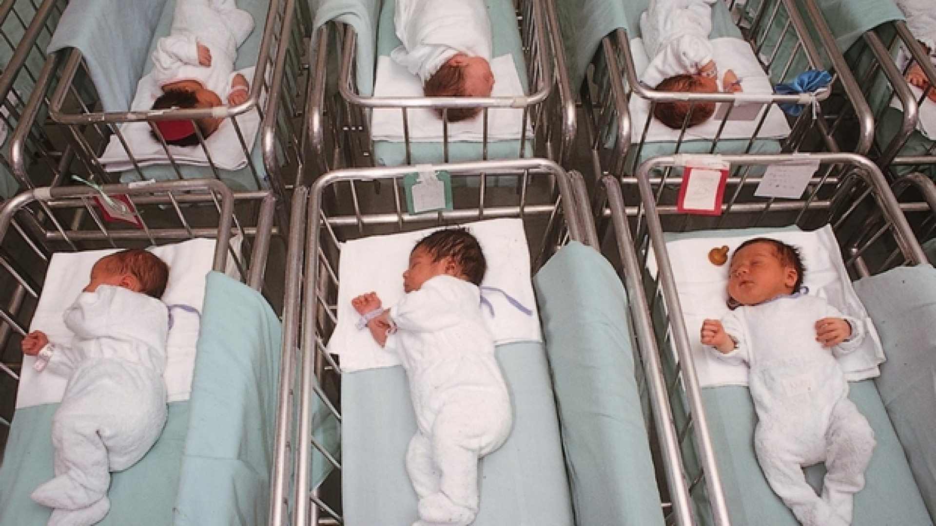 Immagine di «I nostri figli nati da un no all'aborto»
