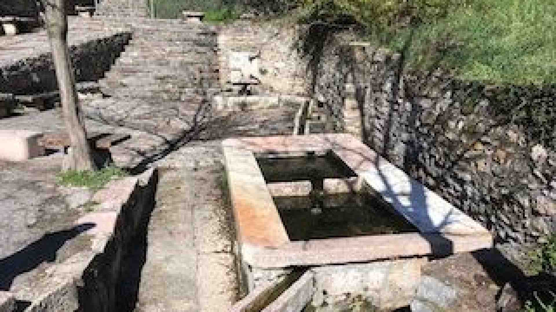 Immagine di Da Santa Viola il panorama spazia tra Valpantena e Lessinia