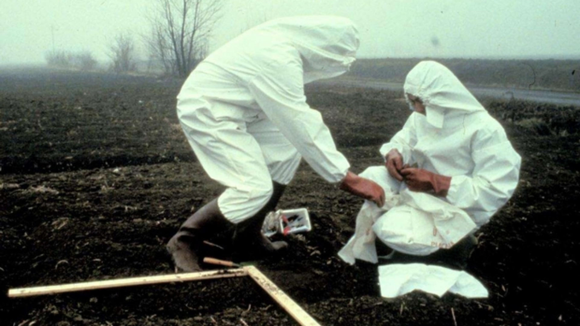 Immagine di 1976 - Diossina a Seveso, pressing per abortire