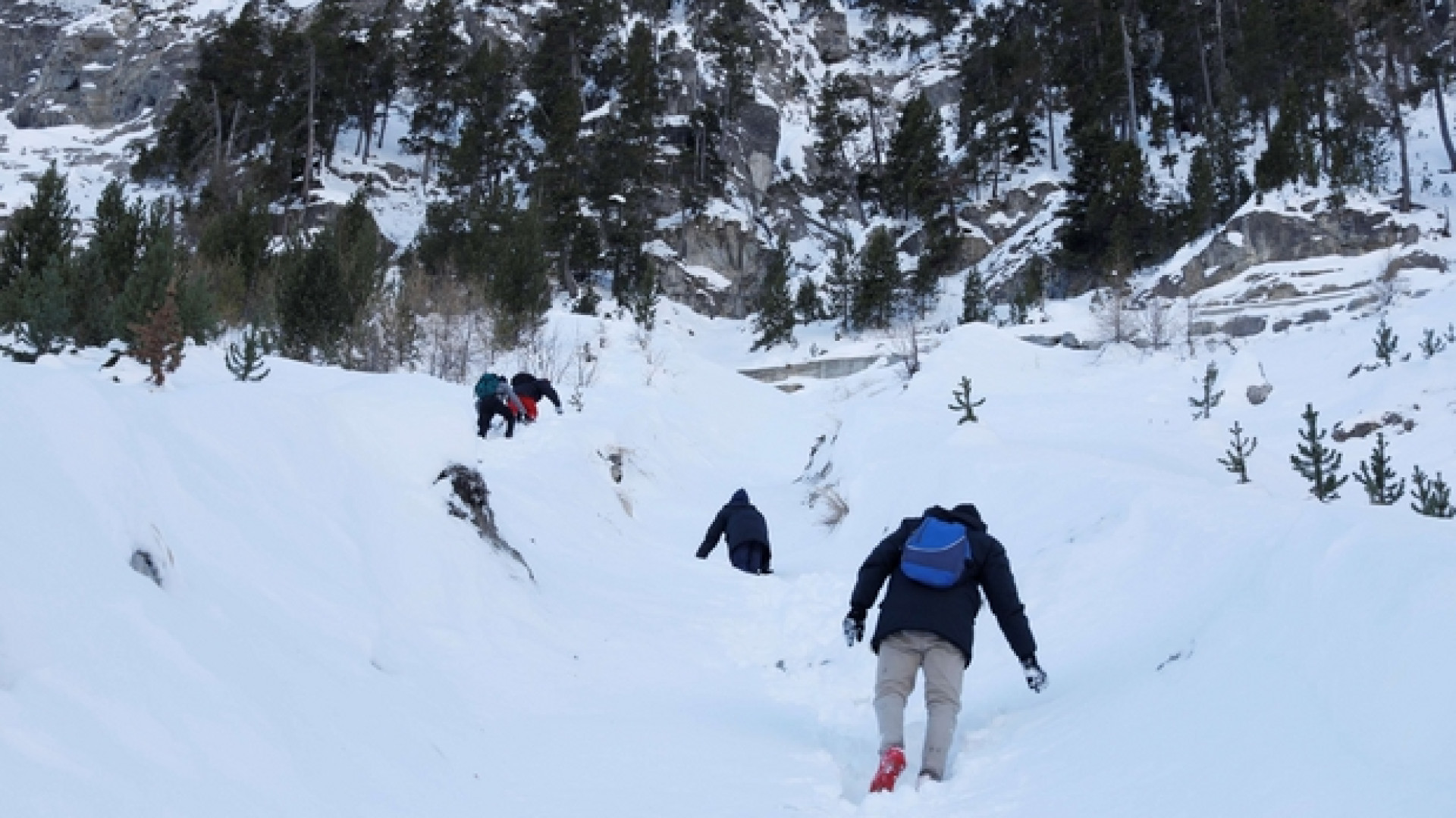 Immagine di Bardonecchia, ultima frontiera solidale
