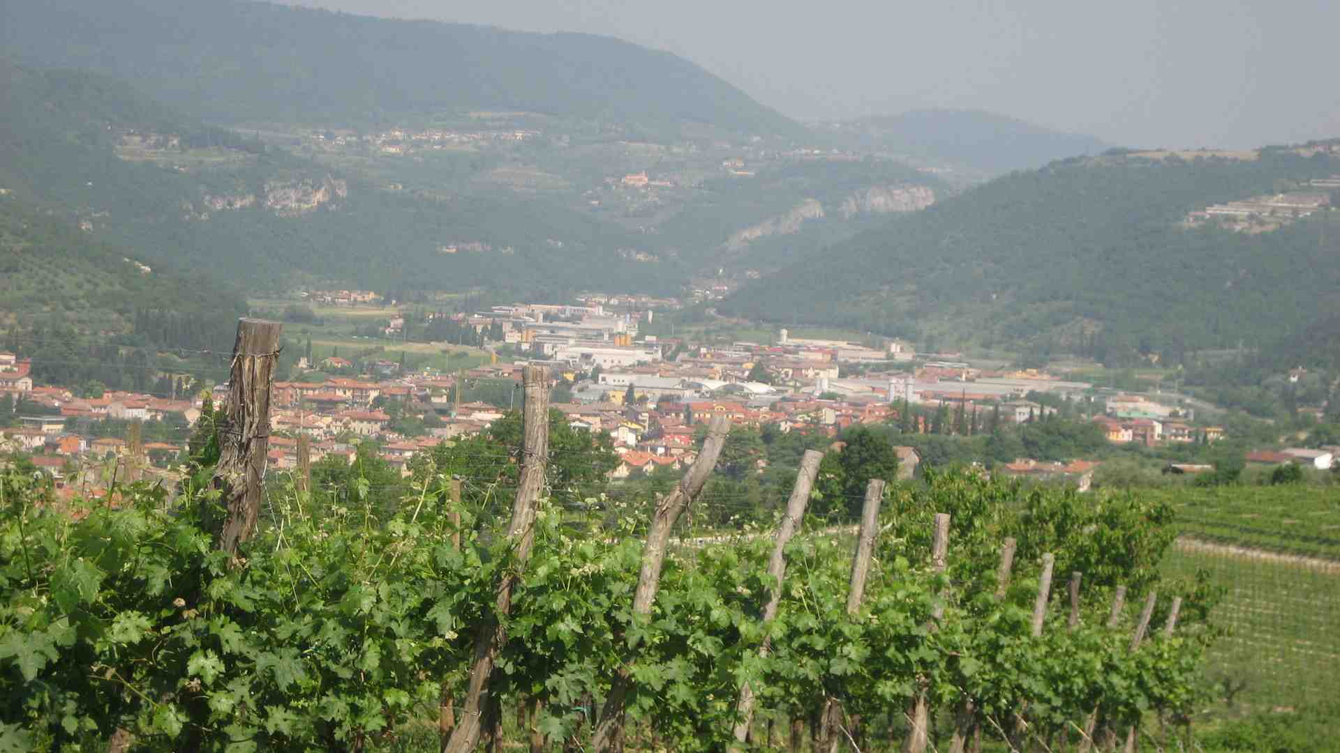 Immagine di Festa degli artigiani della Valpantena e della Lessinia