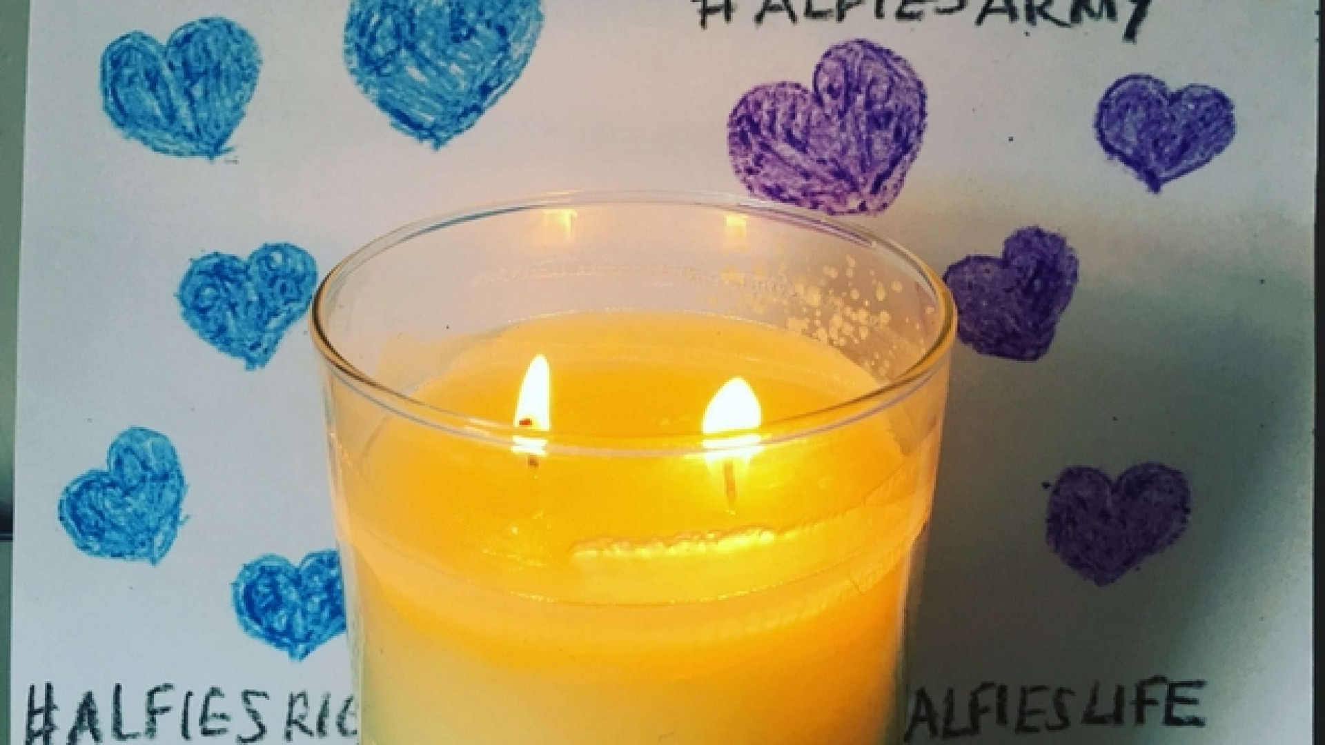 Immagine di Alfie, ma quella legge nulla sa dell’amore