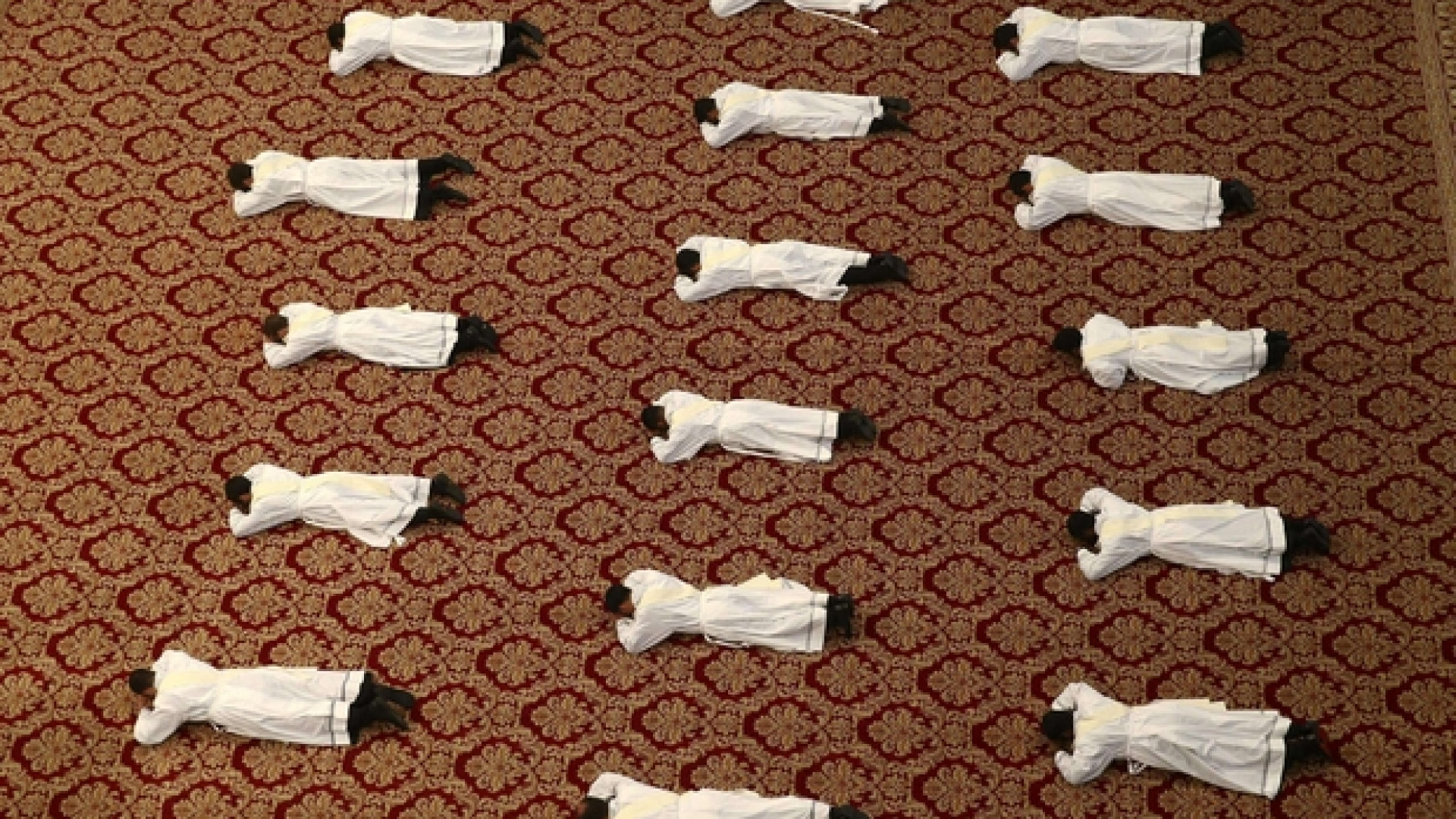 Immagine di Spinti fuori da noi dalla parte delle pecore