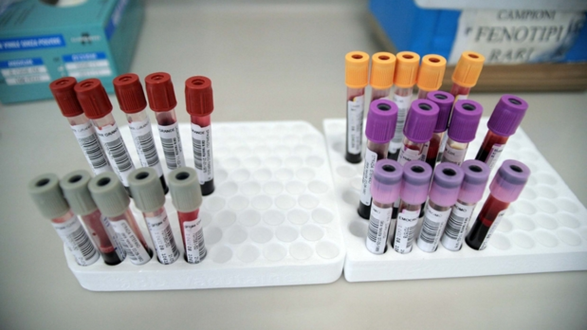 Immagine di Musulmani in coda per donare sangue