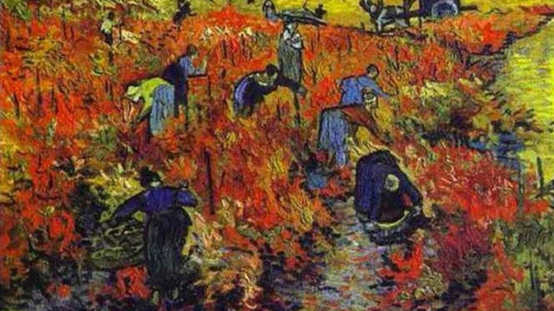 Immagine di Gesù è la vite. E noi i tralci, nutriti dalla linfa dell'amore