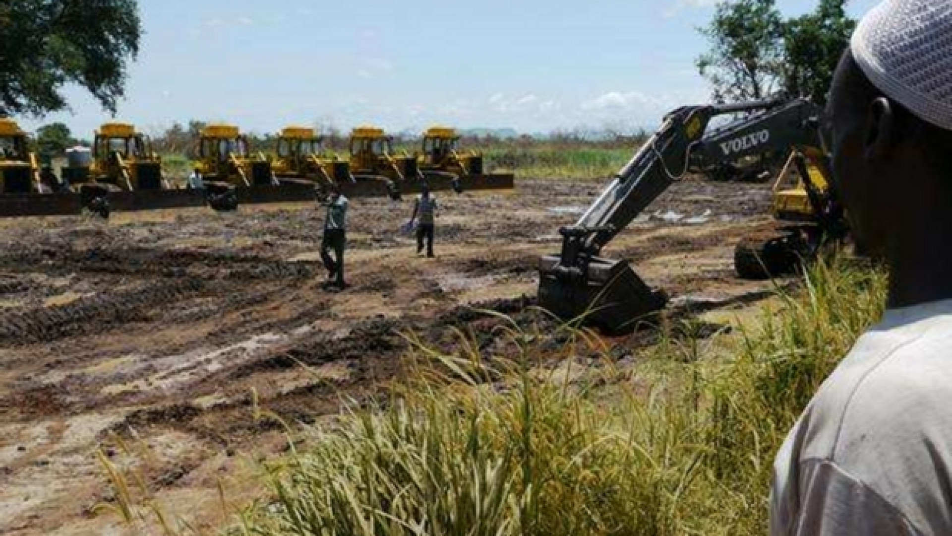 Immagine di Ecco tutti i regimi e le multinazionali che «rubano» terra alle comunità