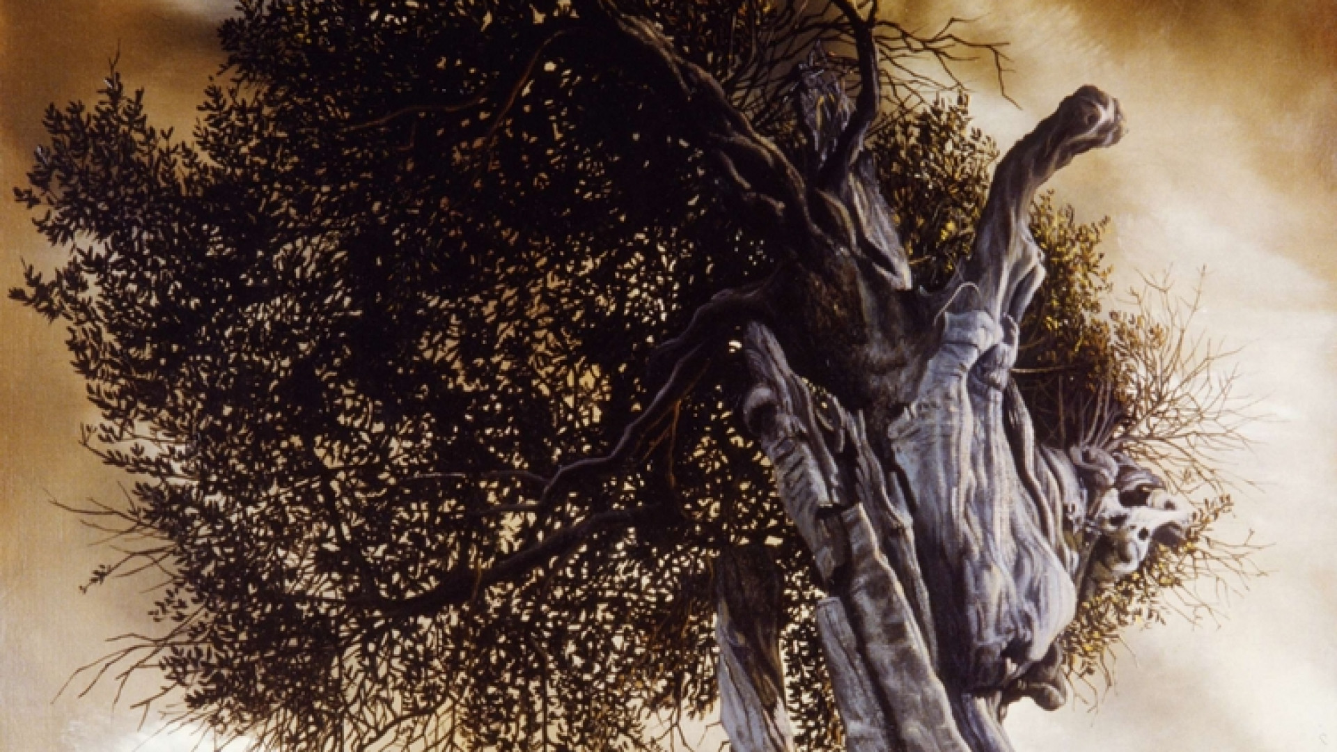 Immagine di L'elogio degli alberi