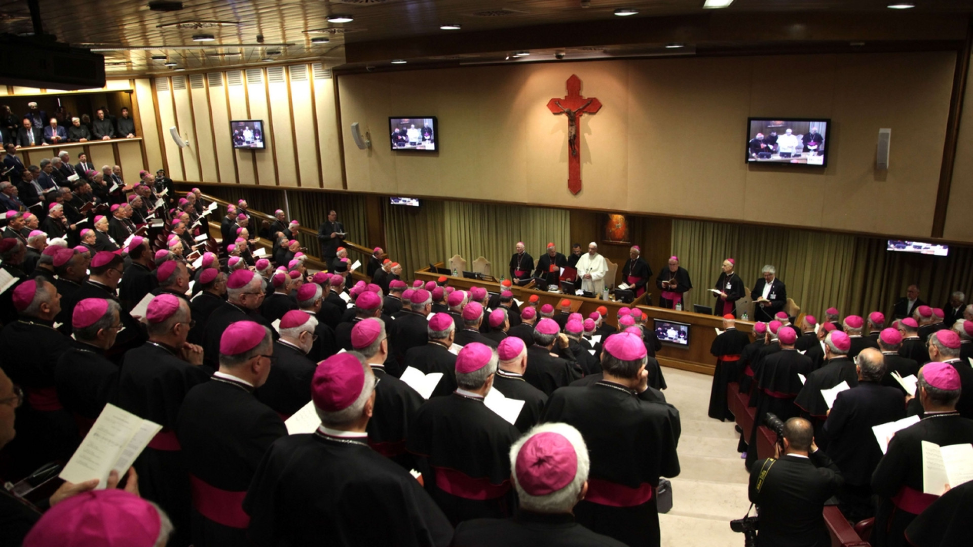 Immagine di Papa Francesco preoccupato per la crisi delle vocazioni