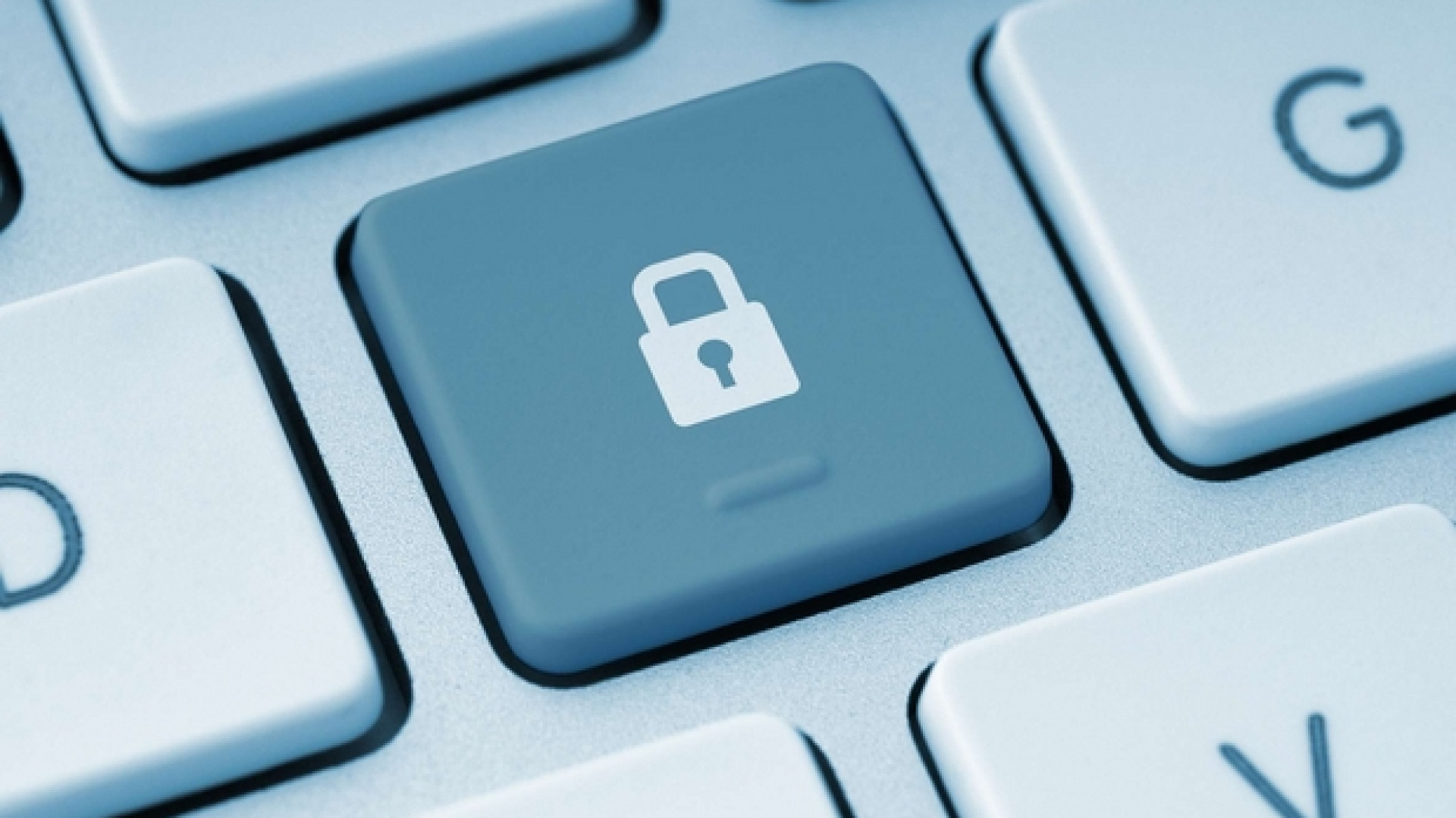 Immagine di La privacy spiegata dall'Europa