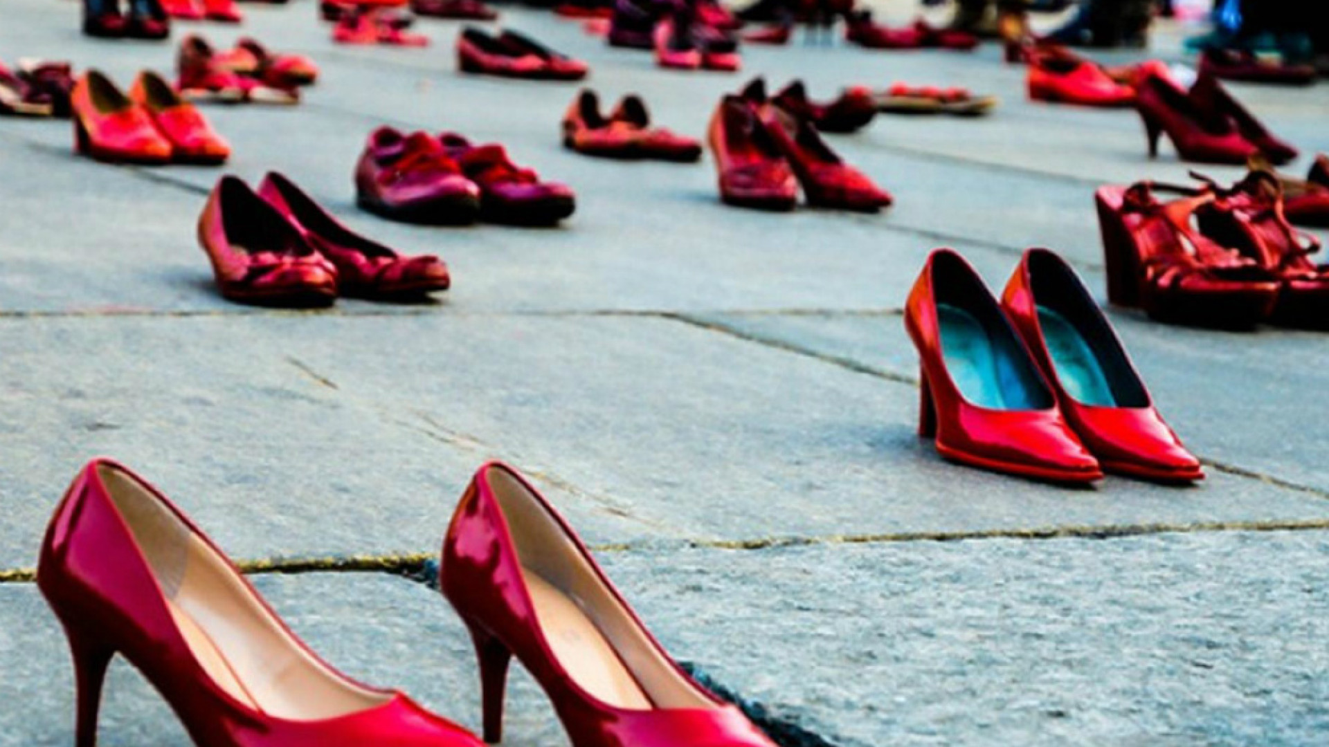 Immagine di “La violenza contro le donne dalla tutela legale alla sensibilizzazione e informazione”
