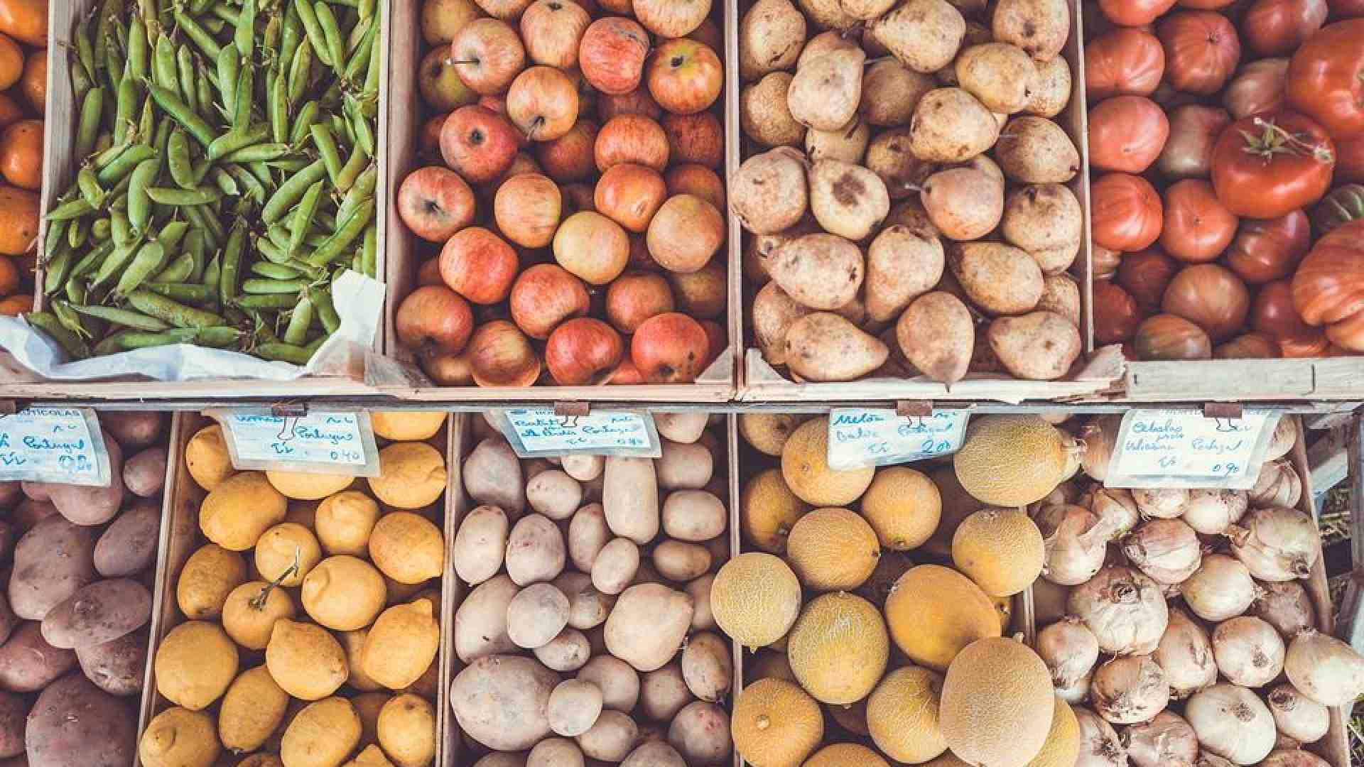 Immagine di La lotta agli sprechi dà buoni frutti