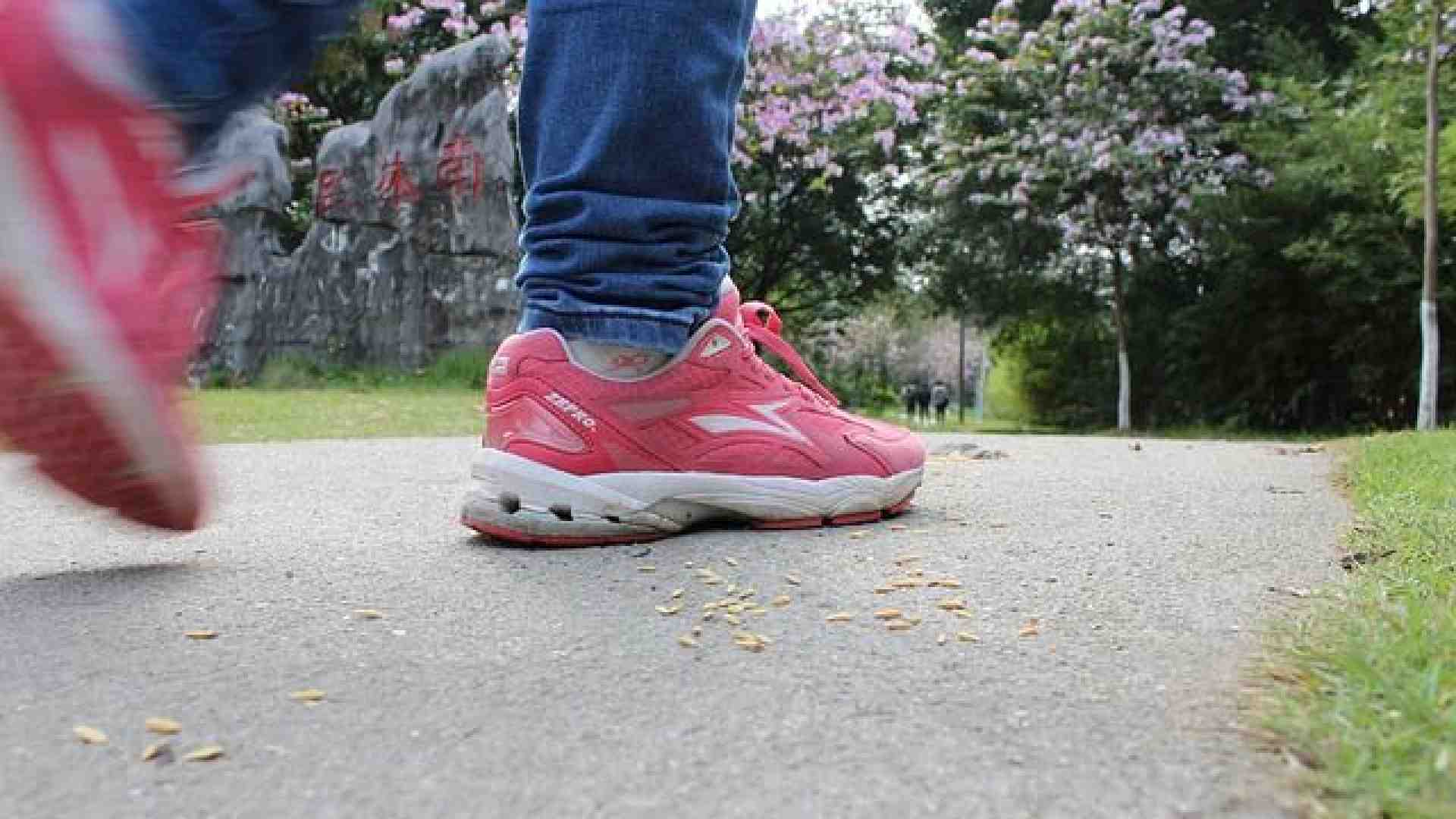 Immagine di Per la Run For Parkinson un'edizione lungo le rive dell’Adige