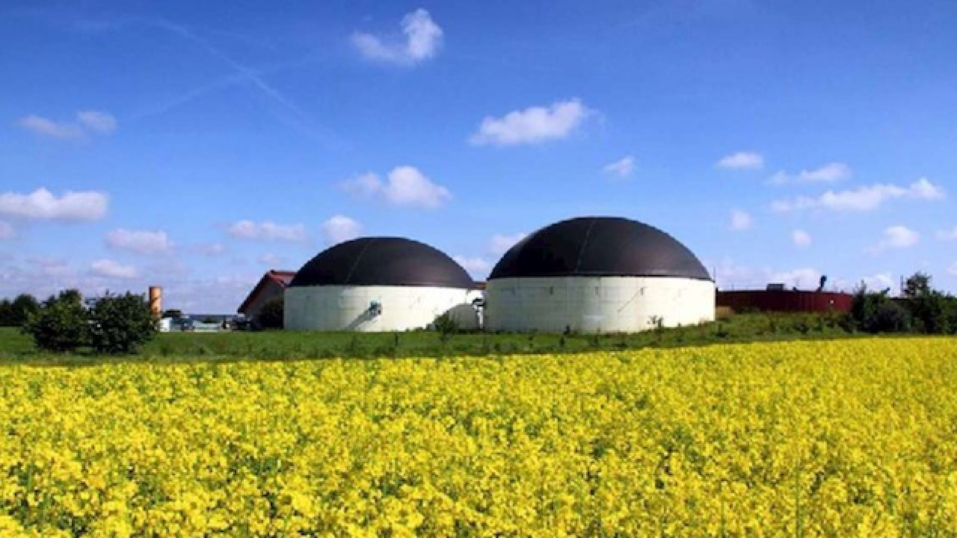 Immagine di Se il Biogas (è)... fattobene
