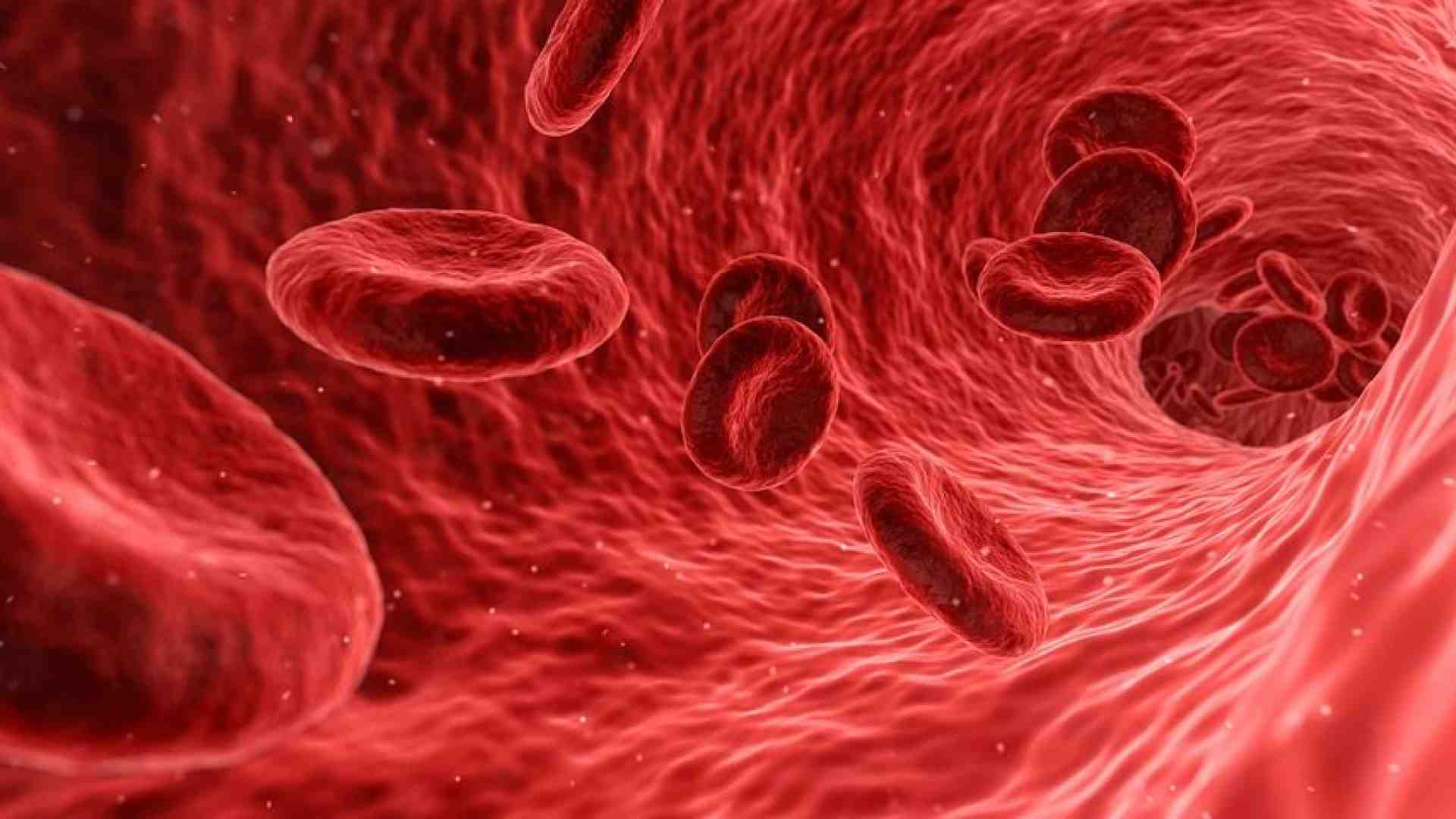 Immagine di È indispensabile e non si fabbrica: cos'è? Il sangue