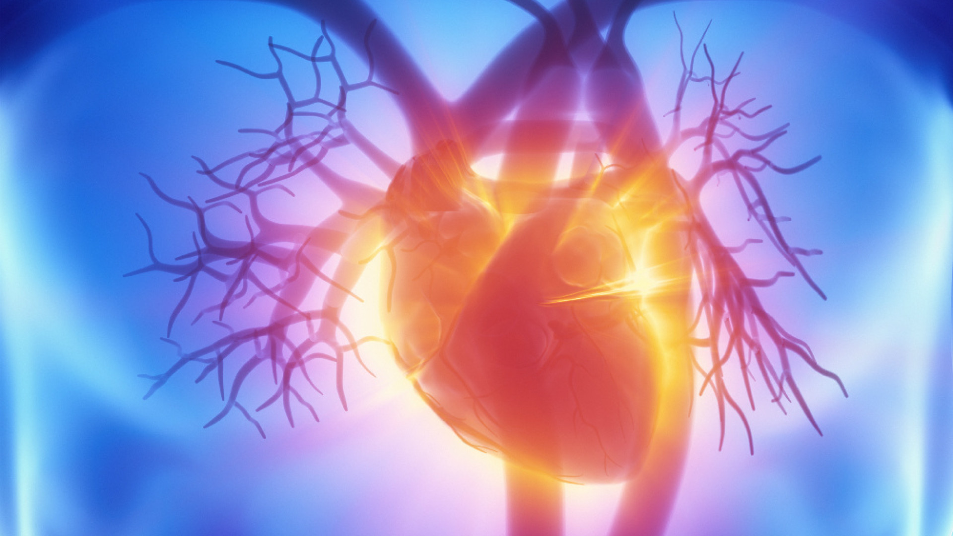 Immagine di Se la cardiopatia è ischemica