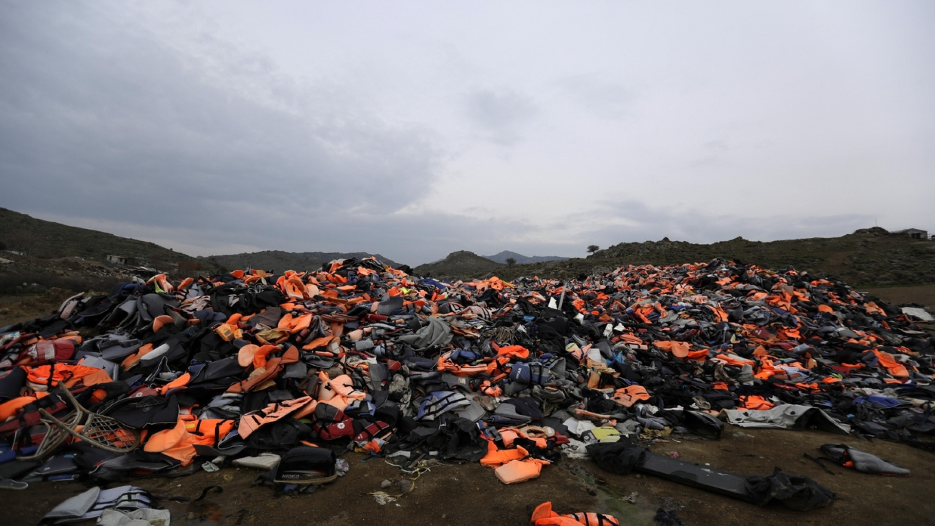 Immagine di Una riforma politica delle migrazioni