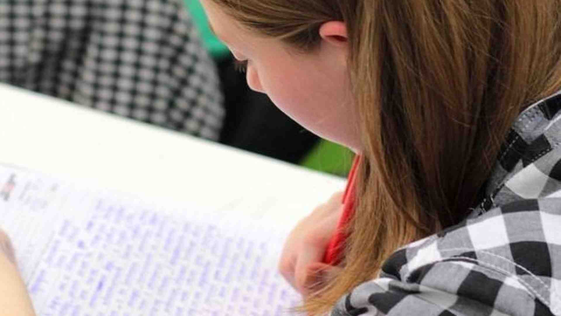 Immagine di Scuola al rush finale