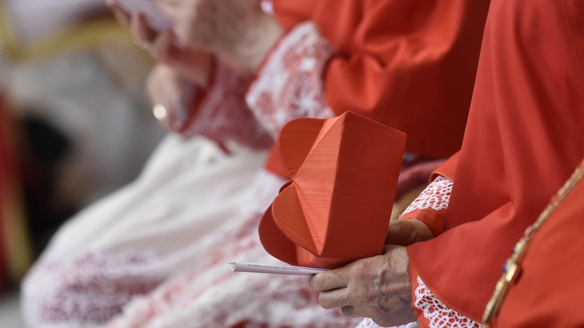 Immagine di Il Papa crea 14 cardinali: i volti e le storie