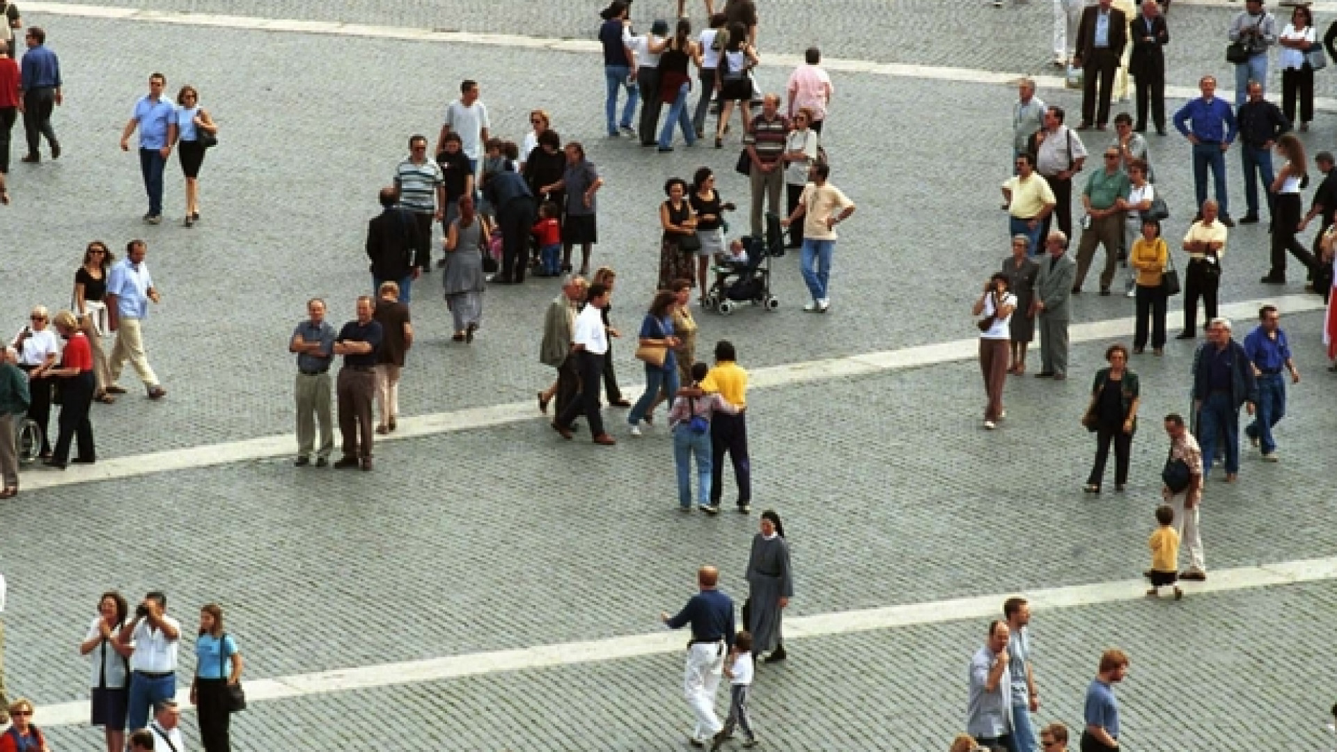 Immagine di Danni e rimedi dal taglio delle radici