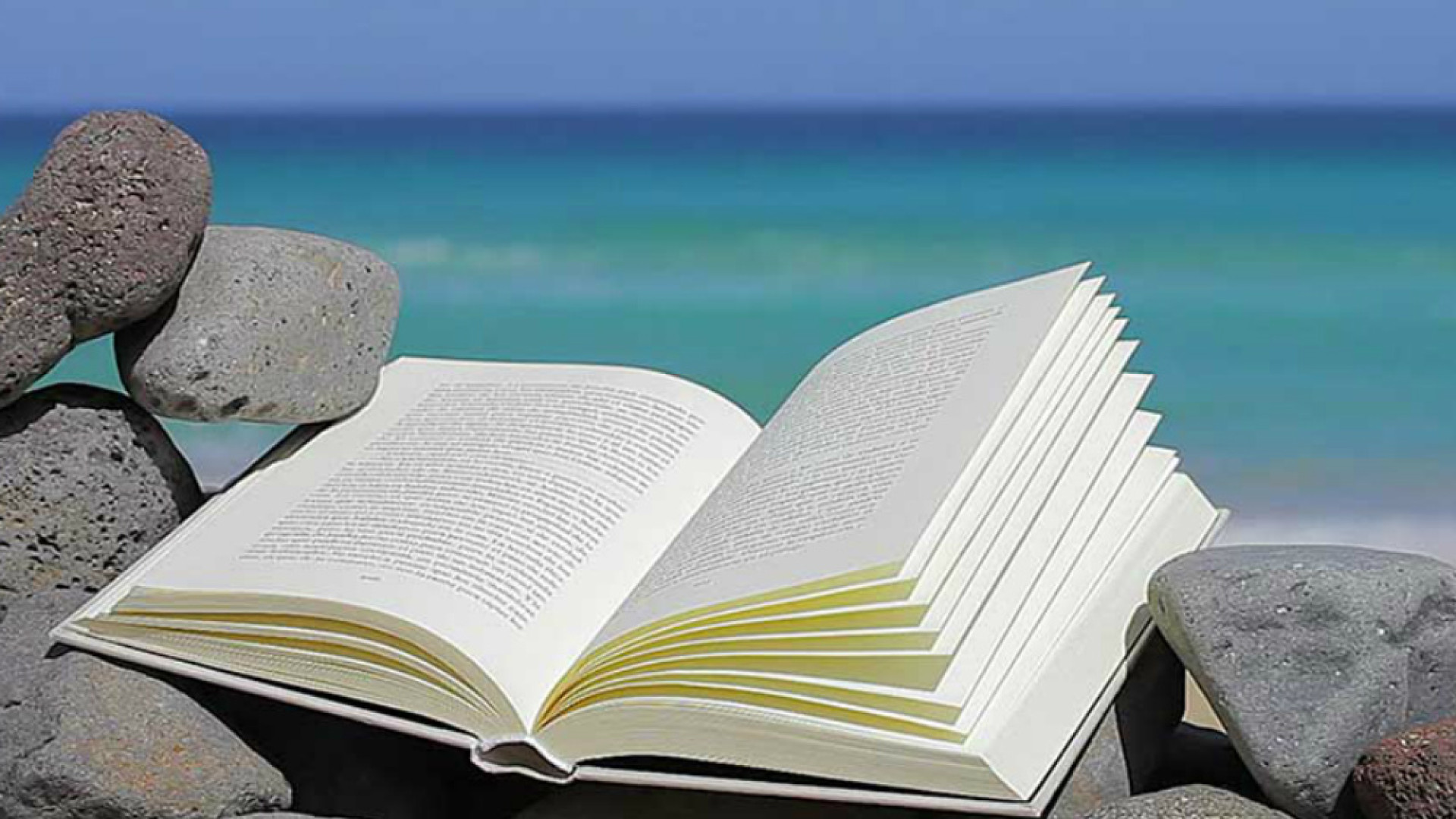 Immagine di Da leggere: i consigli per l'estate