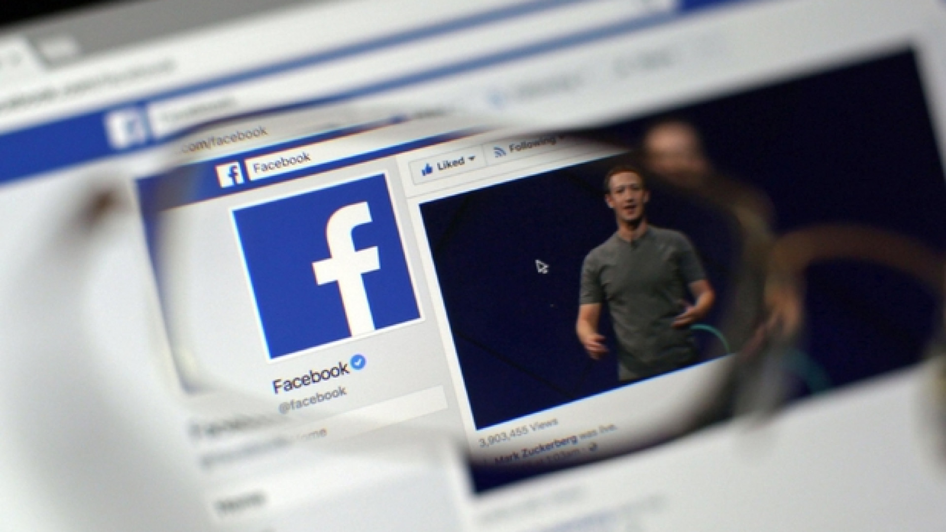 Immagine di Il capitalismo scardinato dall'euro e da Facebook