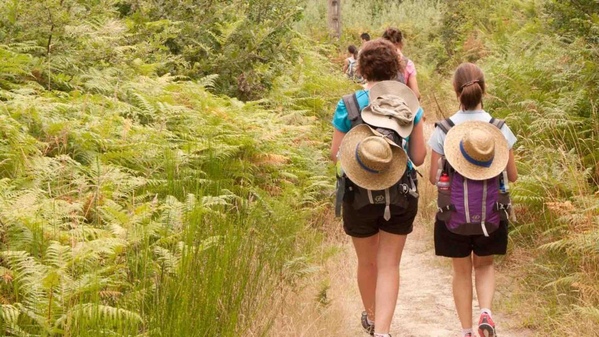 Immagine di In cammino verso il Sinodo