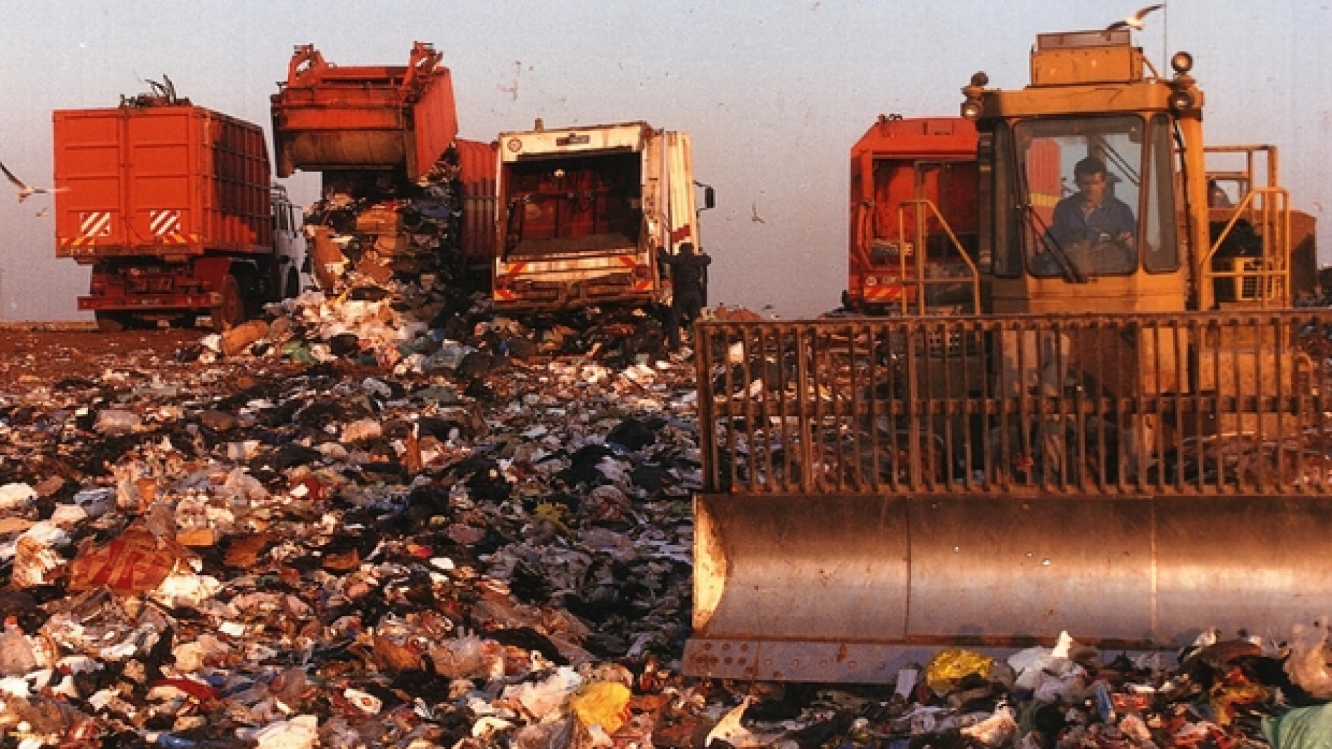Immagine di Bioeconomia dei rifiuti organici e delle biomasse