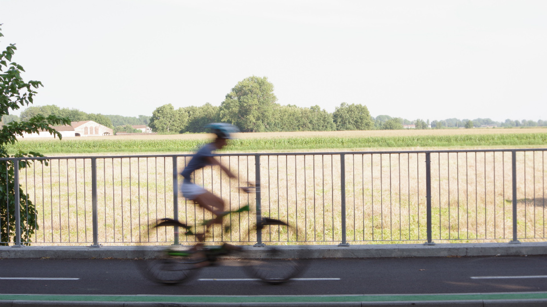 Immagine di Prendo la vita... in bicicletta