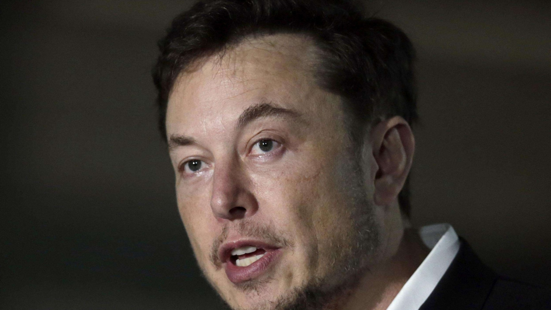Immagine di Musk sta diventando il problema di Tesla