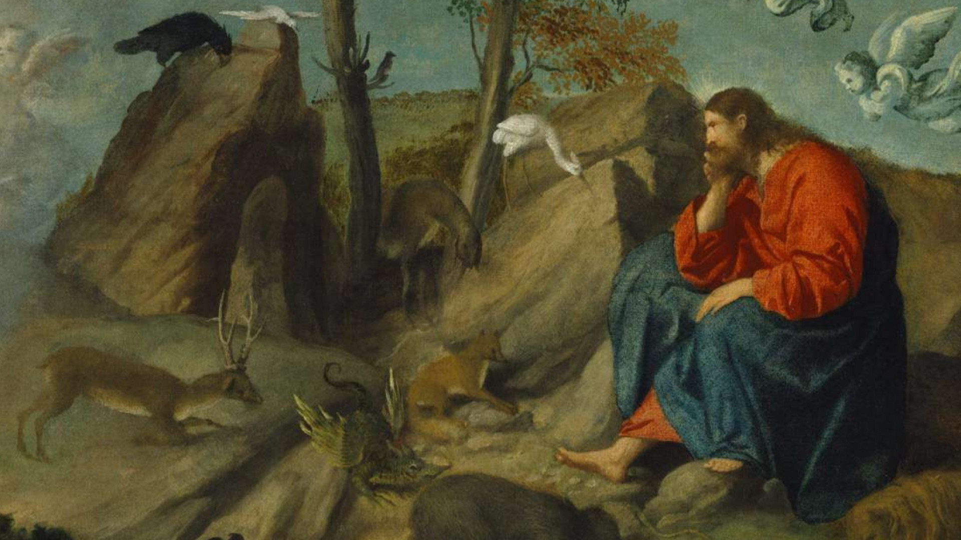 Immagine di Pecore, uccelli e asini: che zoo la Bibbia