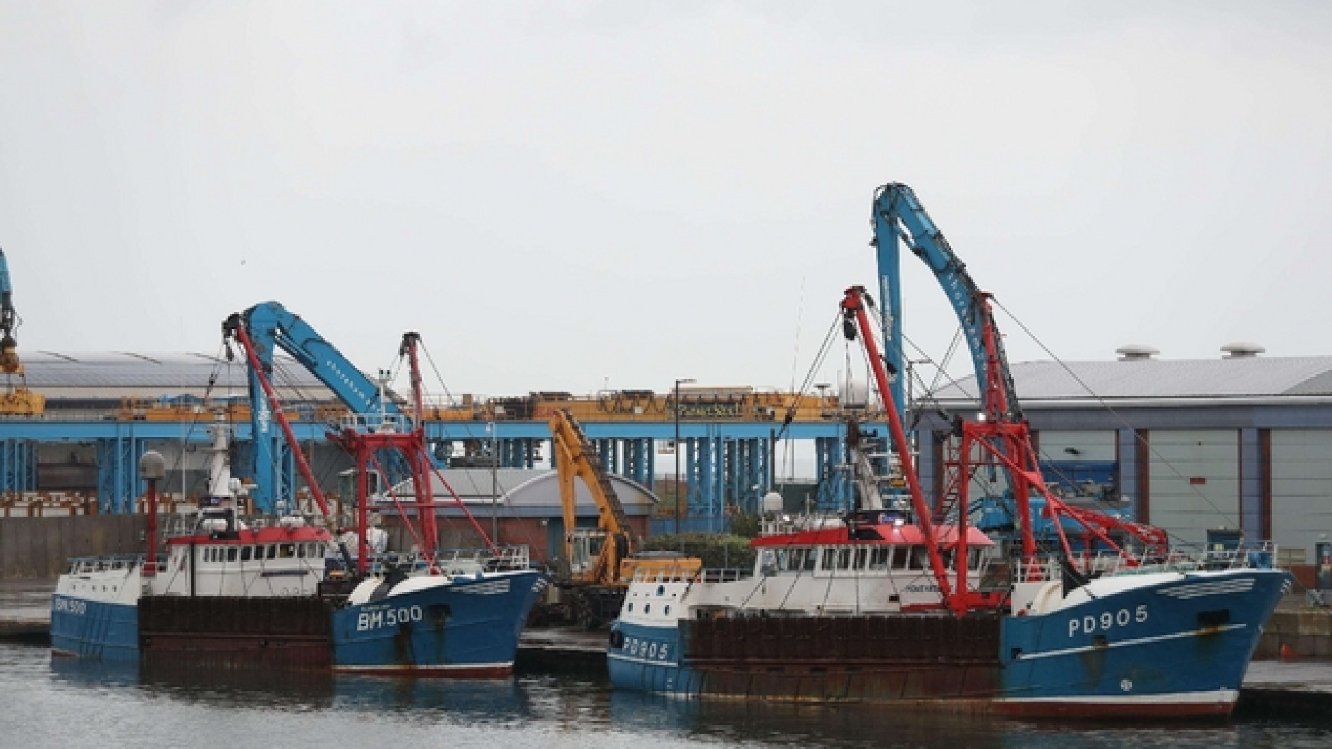 Immagine di Nella Manica è «guerra delle capesante» tra pescatori francesi e inglesi
