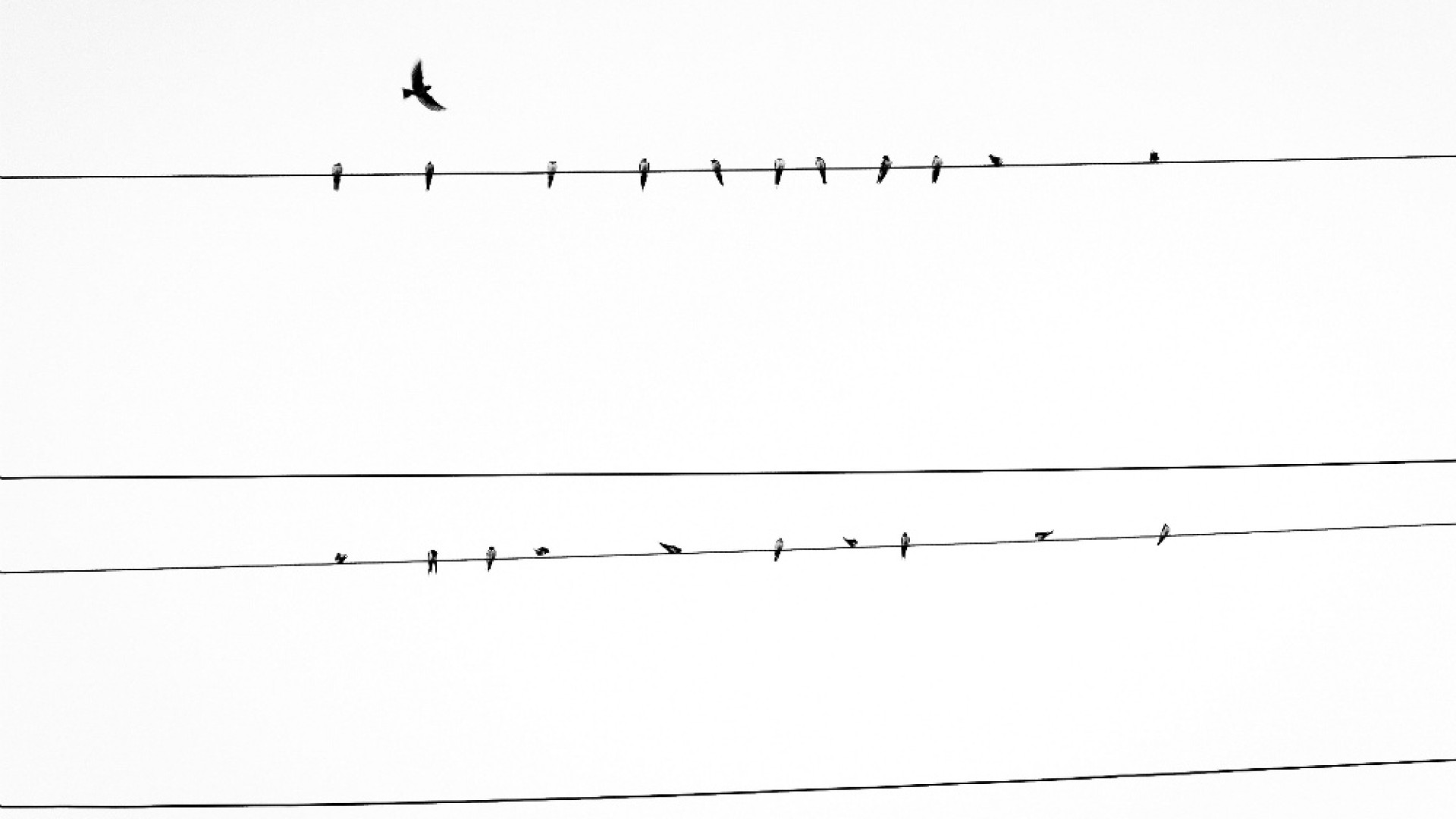 Immagine di Voglia di poesia "Approdi" a Crema
