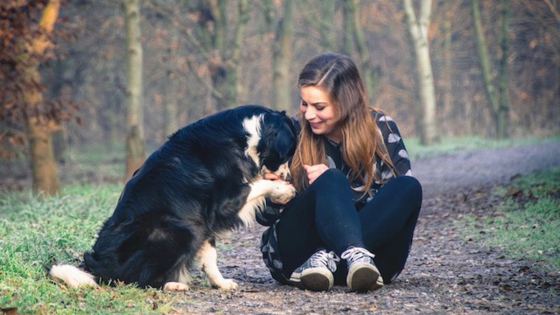 Immagine di Un amico a quattro zampe in una famiglia su tre