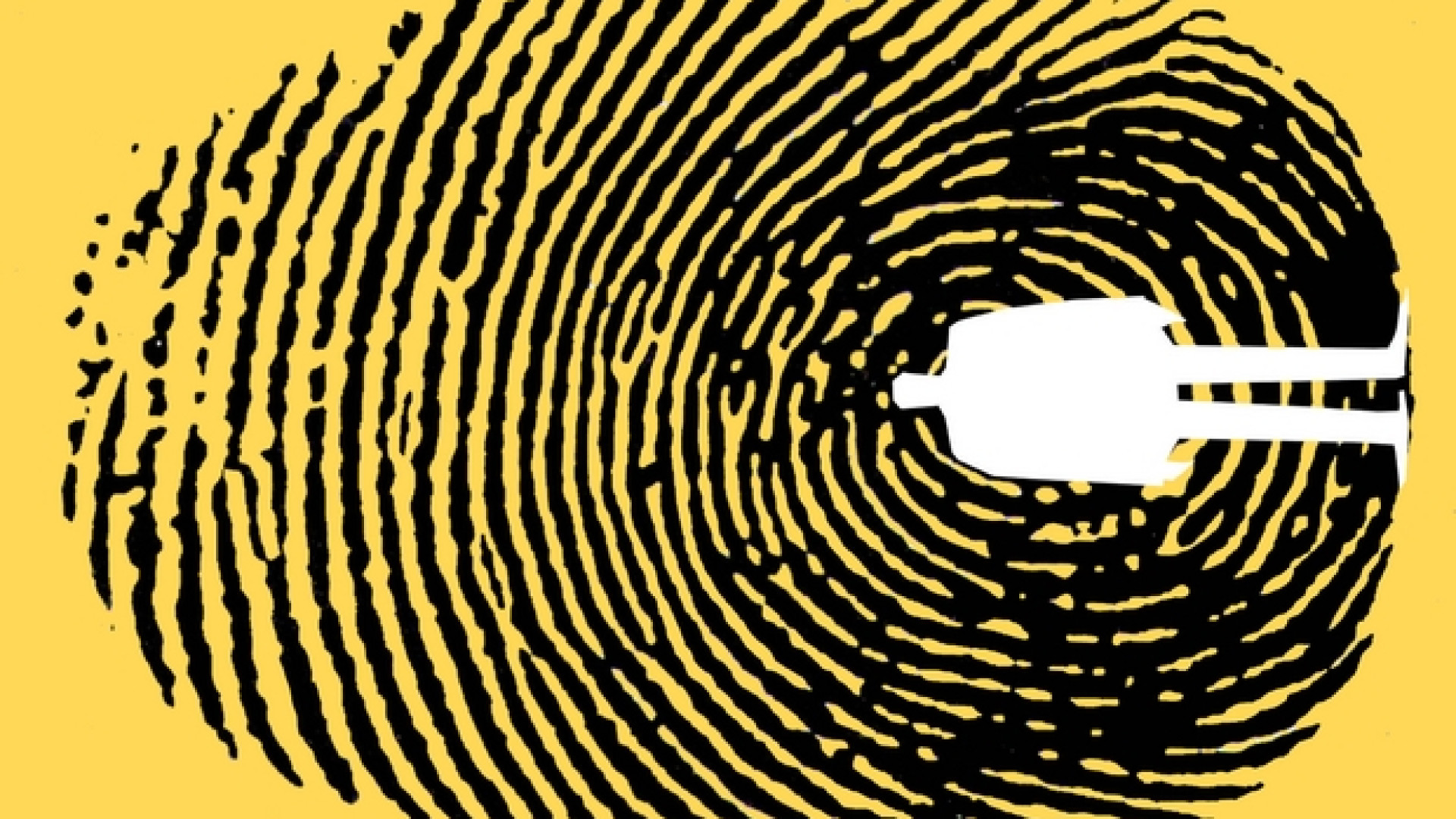 Immagine di Copyright, diritto di qualità. Ecco cosa cambia