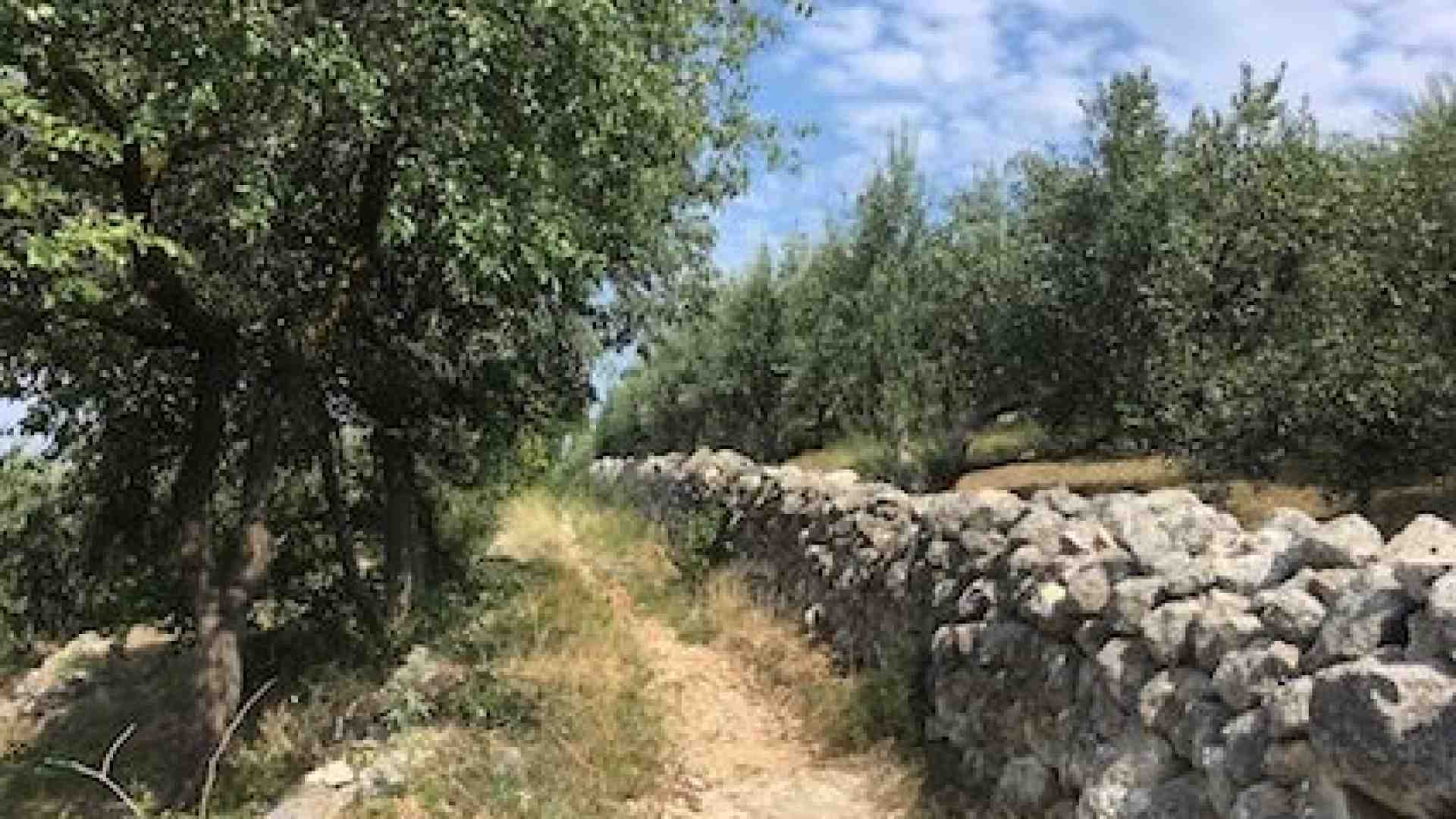 Immagine di Dal colle di San Rocchetto una panoramica su tutta la città
