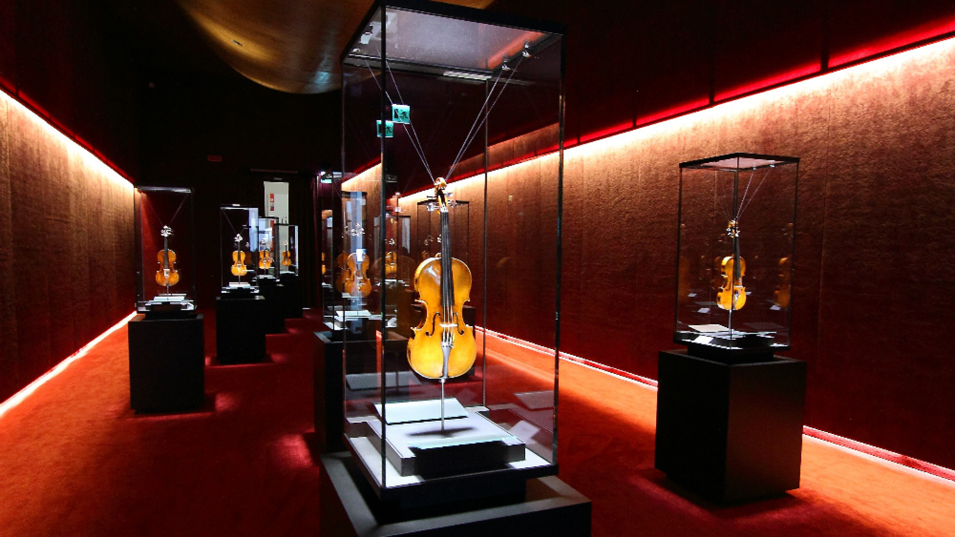 Immagine di Museo del Violino, cinque anni da star
