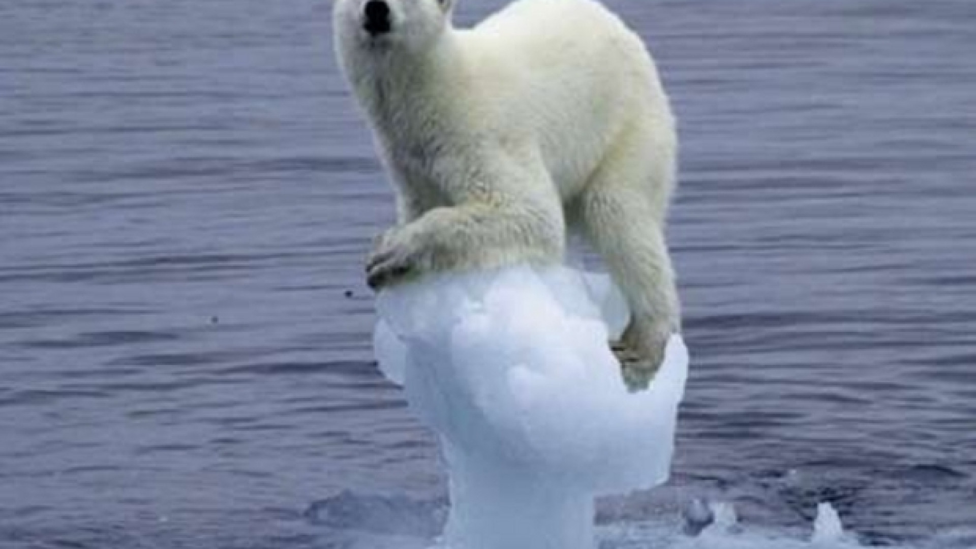 Immagine di Le promesse tradite per salvare il clima. Stati in ordine sparso
